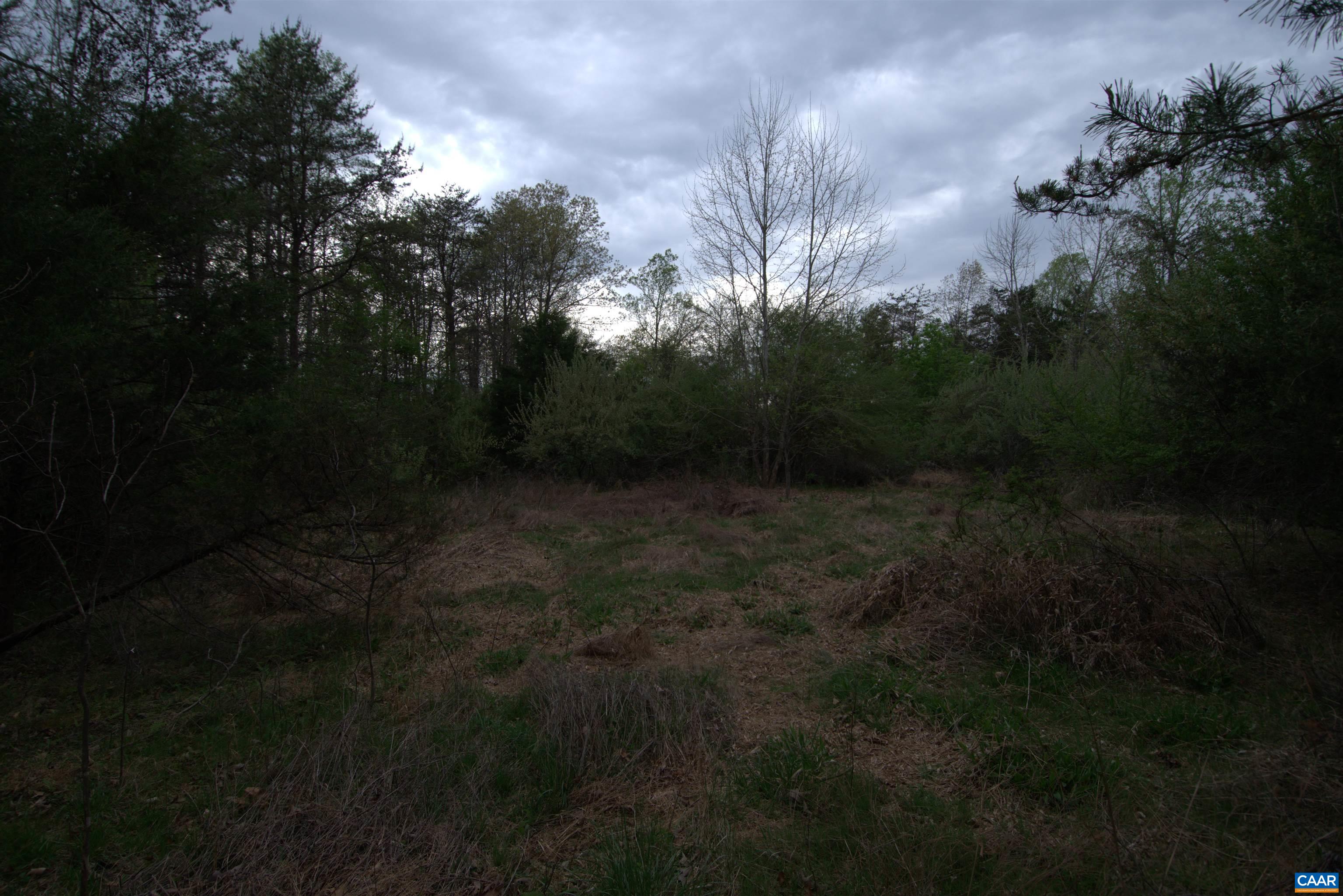 0 TUCSON LN, ARRINGTON, Virginia 22922, ,Land,0 TUCSON LN,679621 MLS # 679621 0 TUCSON LN, ARRINGTON, Virginia 22922, ,Land,0 TUCSON LN,679621 MLS # 679621
