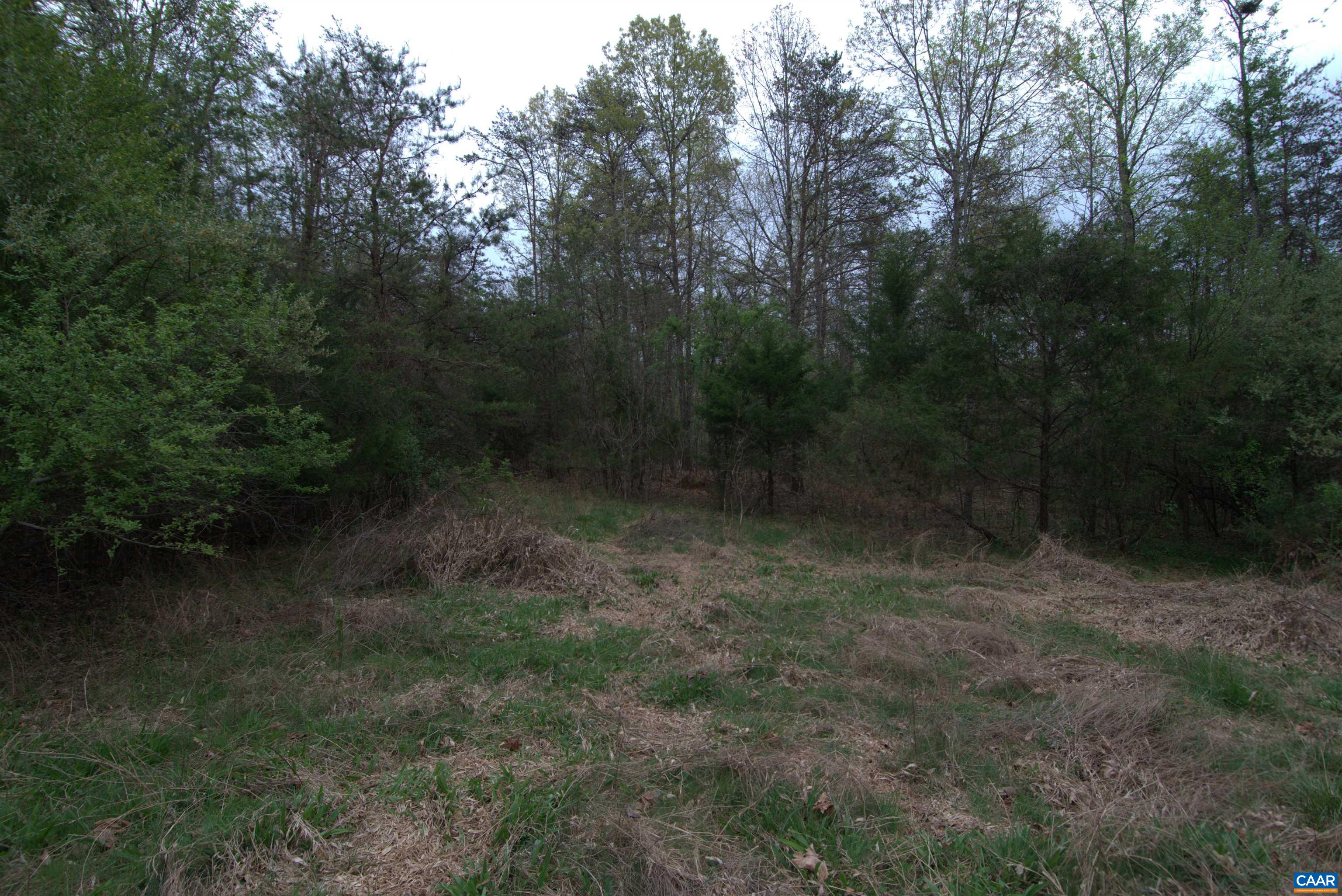 0 TUCSON LN, ARRINGTON, Virginia 22922, ,Land,0 TUCSON LN,679621 MLS # 679621 0 TUCSON LN, ARRINGTON, Virginia 22922, ,Land,0 TUCSON LN,679621 MLS # 679621