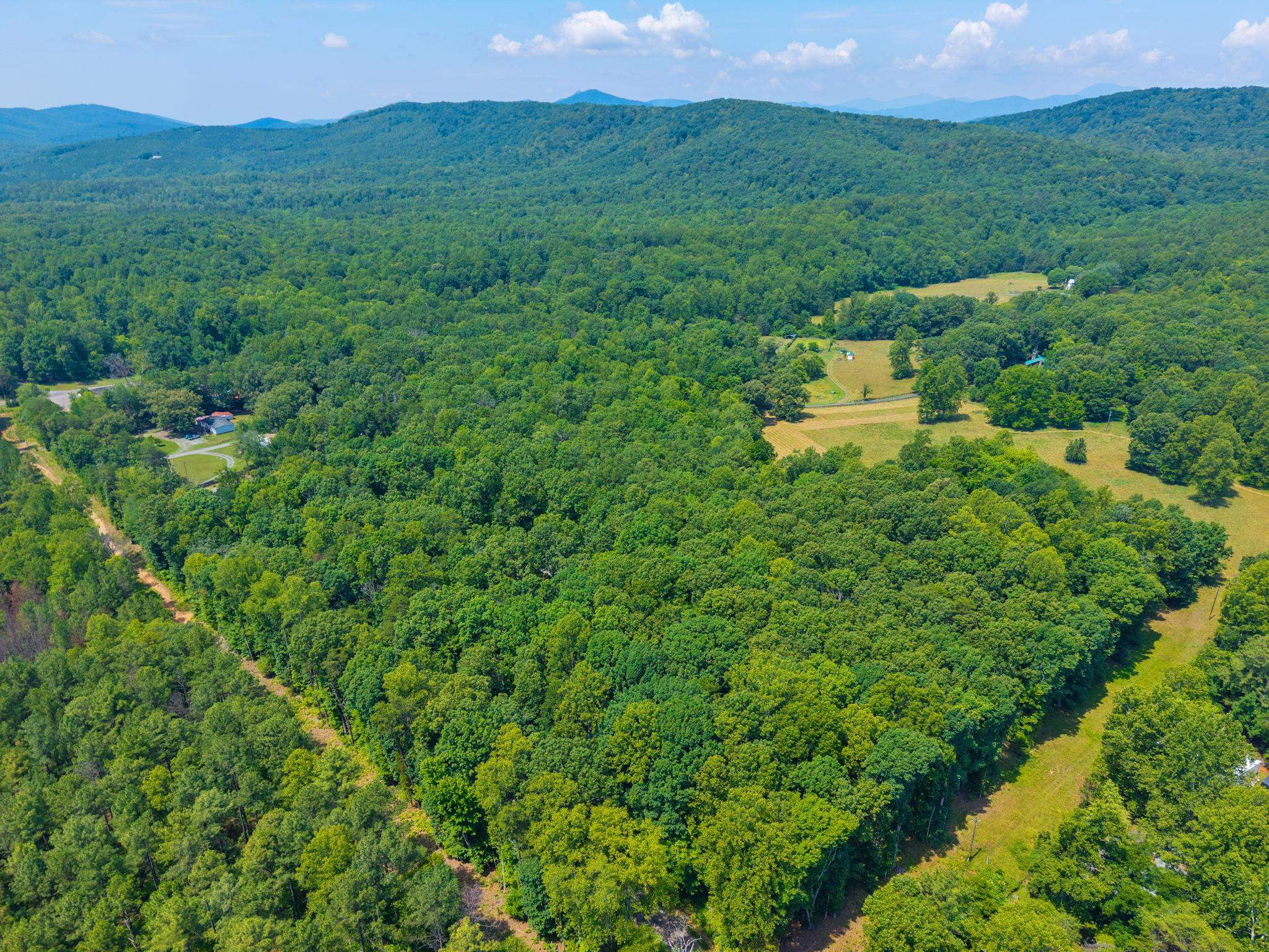 5508 GREEN CREEK RD, SCHUYLER, Virginia 22969, 3 Bedrooms Bedrooms, ,2 BathroomsBathrooms,Residential,5508 GREEN CREEK RD,679288 MLS # 679288 5508 GREEN CREEK RD, SCHUYLER, Virginia 22969, 3 Bedrooms Bedrooms, ,2 BathroomsBathrooms,Residential,5508 GREEN CREEK RD,679288 MLS # 679288
