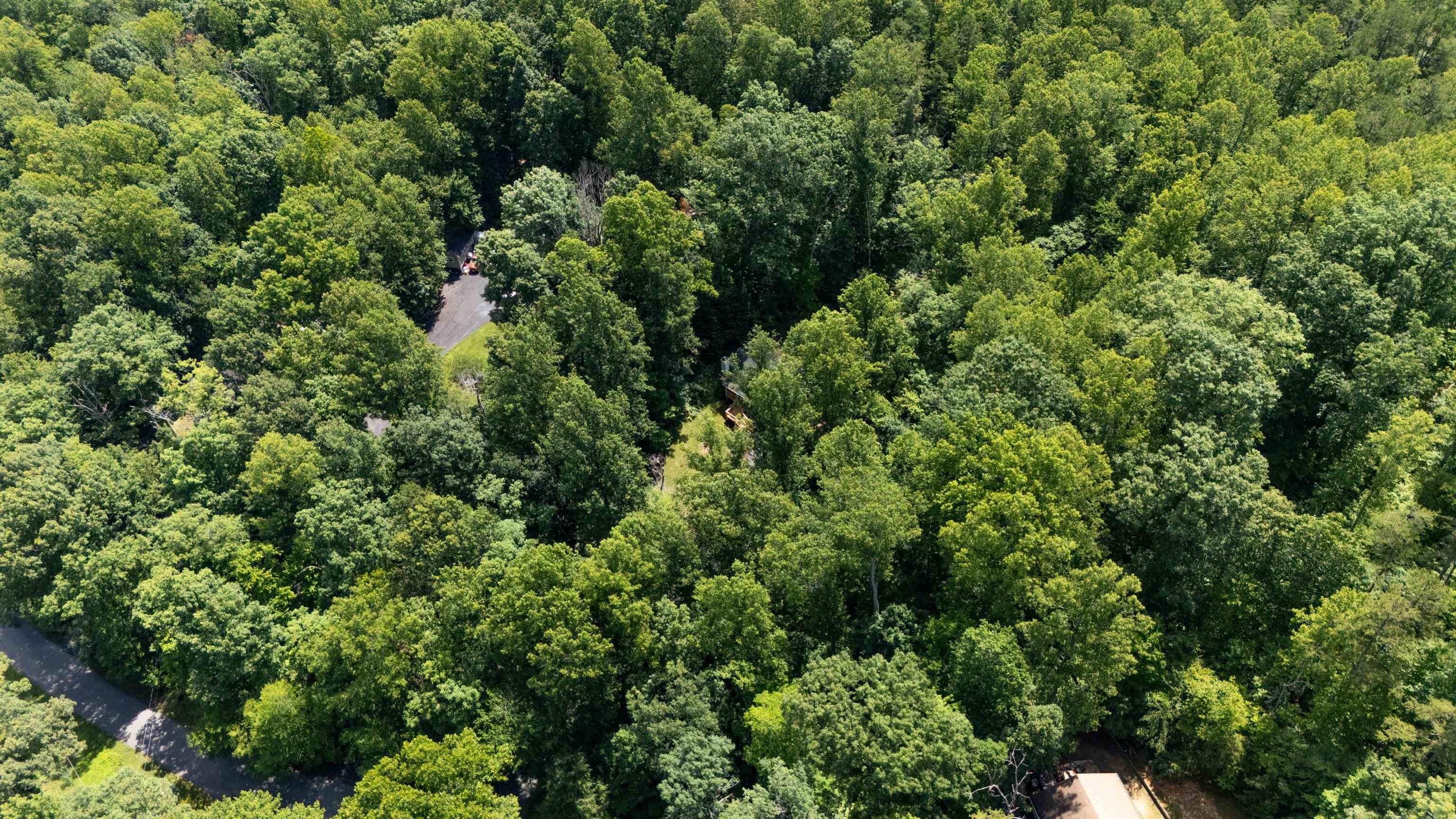 398 GERANIUM RD, RUCKERSVILLE, Virginia 22968, 3 Bedrooms Bedrooms, ,3 BathroomsBathrooms,Residential,398 GERANIUM RD,679614 MLS # 679614
