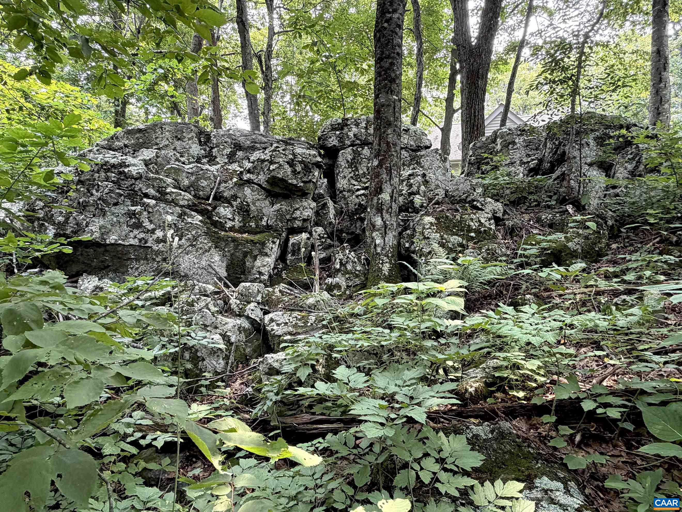 The stunning natural rock formations along the property boundary create a dramatic backdrop and are truly one of this homesite's most beautiful features. The stunning natural rock formations along the property boundary create a dramatic backdrop and are truly one of this homesite's most beautiful features.