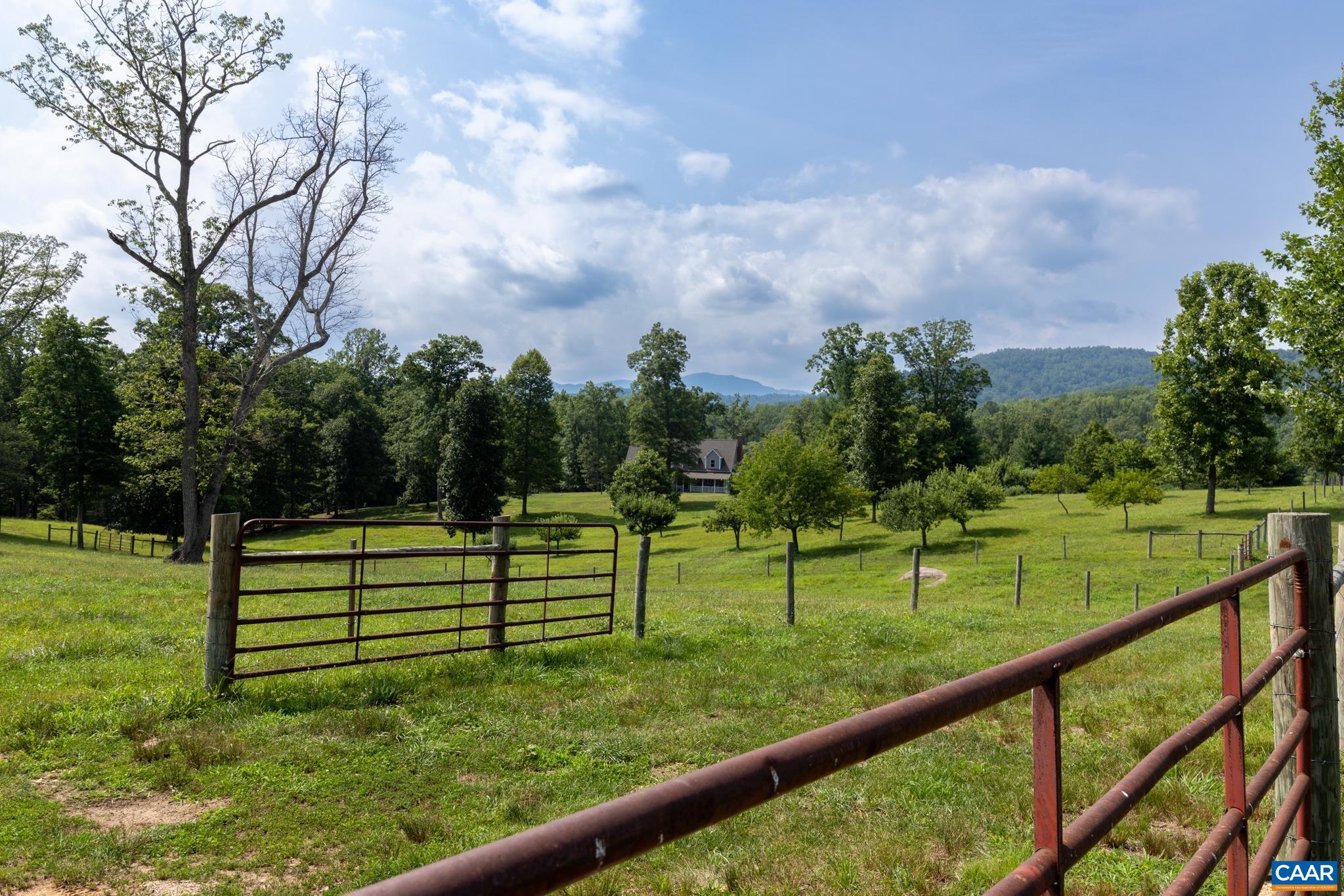 1688 DESERT RD, REVA, Virginia 22735, 3 Bedrooms Bedrooms, ,3 BathroomsBathrooms,Residential,Rag View Farm,1688 DESERT RD,679421 MLS # 679421
