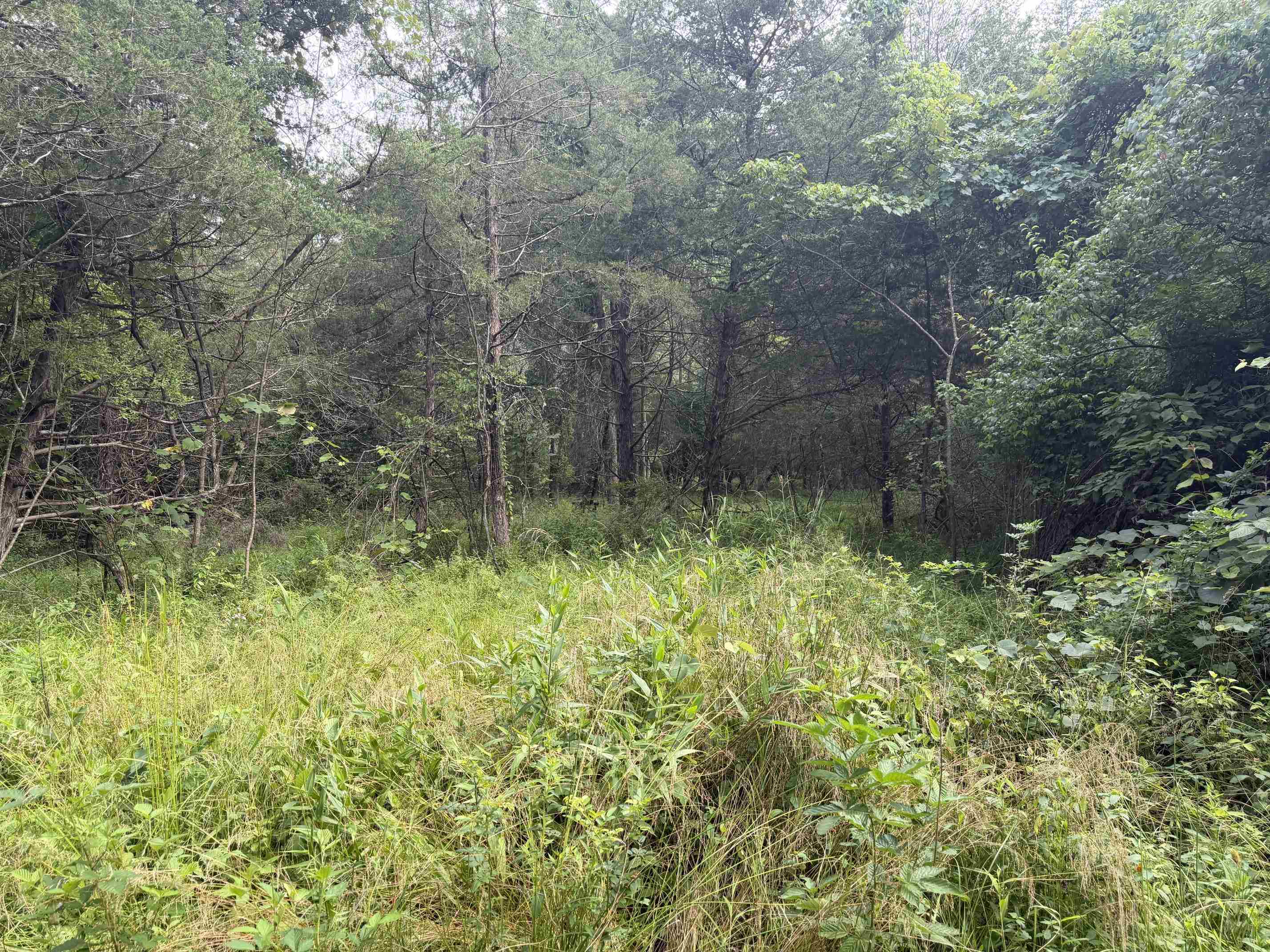 11289 COWPASTURE RIVER HWY, MILLBORO, Virginia 24460, ,Land,11289 COWPASTURE RIVER HWY,679650 MLS # 679650 11289 COWPASTURE RIVER HWY, MILLBORO, Virginia 24460, ,Land,11289 COWPASTURE RIVER HWY,679650 MLS # 679650