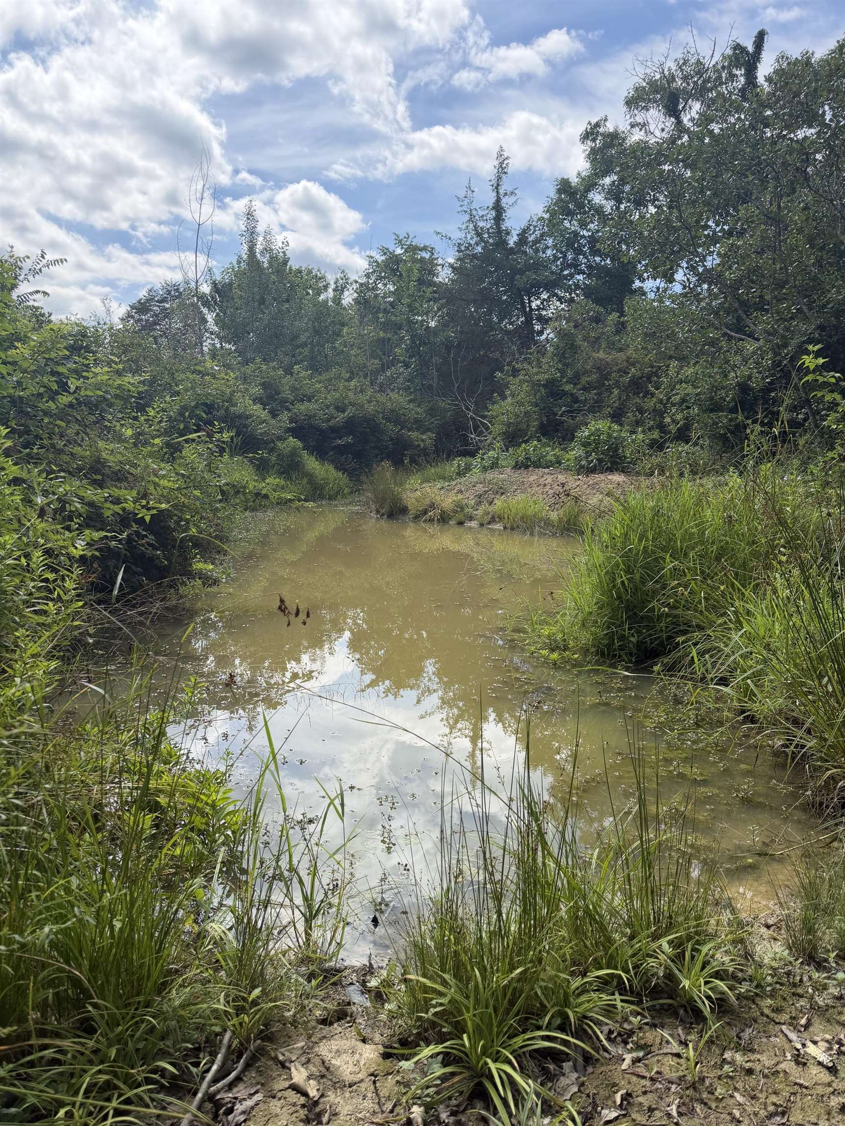 11289 COWPASTURE RIVER HWY, MILLBORO, Virginia 24460, ,Land,11289 COWPASTURE RIVER HWY,679650 MLS # 679650 11289 COWPASTURE RIVER HWY, MILLBORO, Virginia 24460, ,Land,11289 COWPASTURE RIVER HWY,679650 MLS # 679650