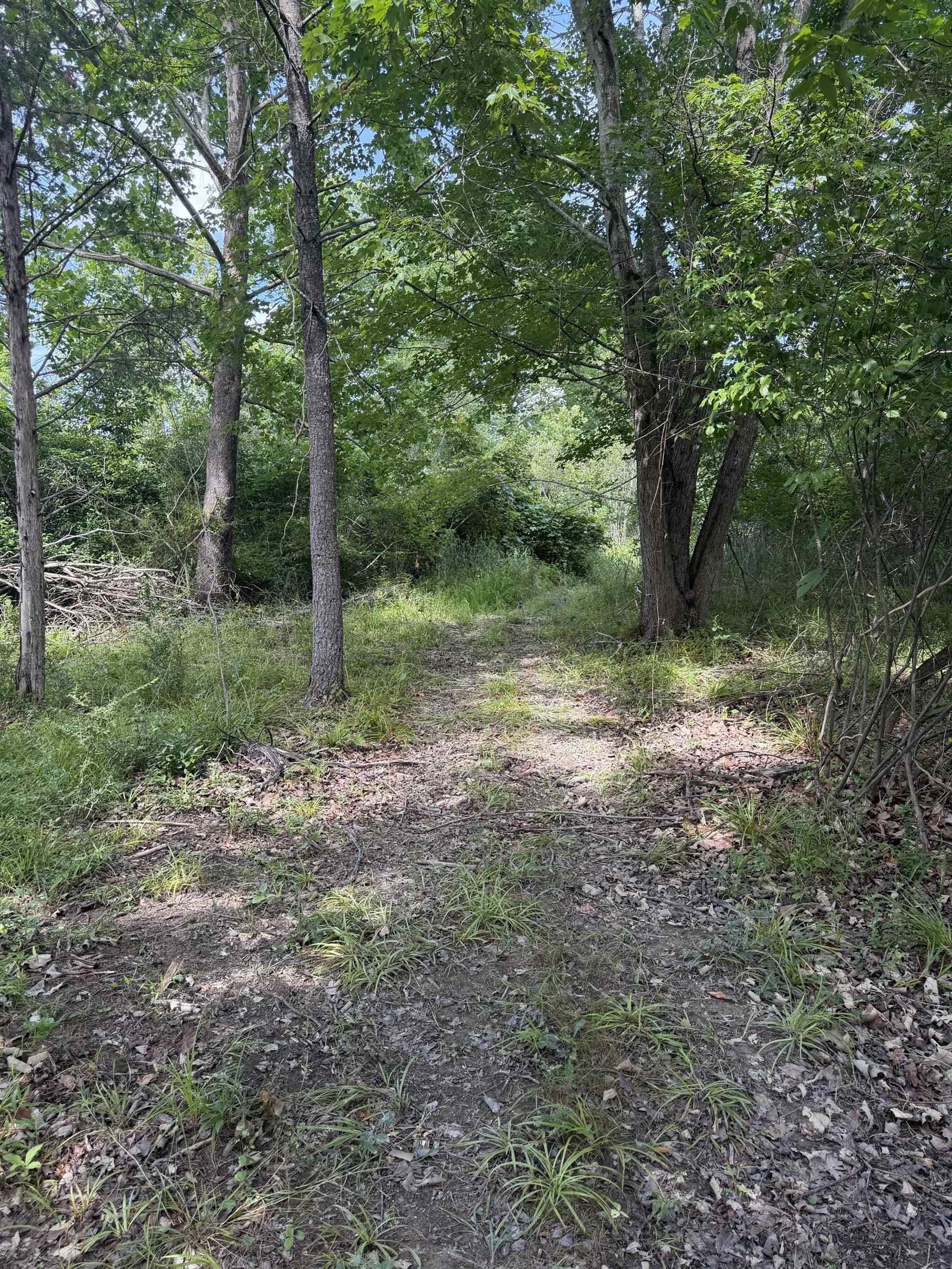 11289 COWPASTURE RIVER HWY, MILLBORO, Virginia 24460, ,Land,11289 COWPASTURE RIVER HWY,679650 MLS # 679650 11289 COWPASTURE RIVER HWY, MILLBORO, Virginia 24460, ,Land,11289 COWPASTURE RIVER HWY,679650 MLS # 679650