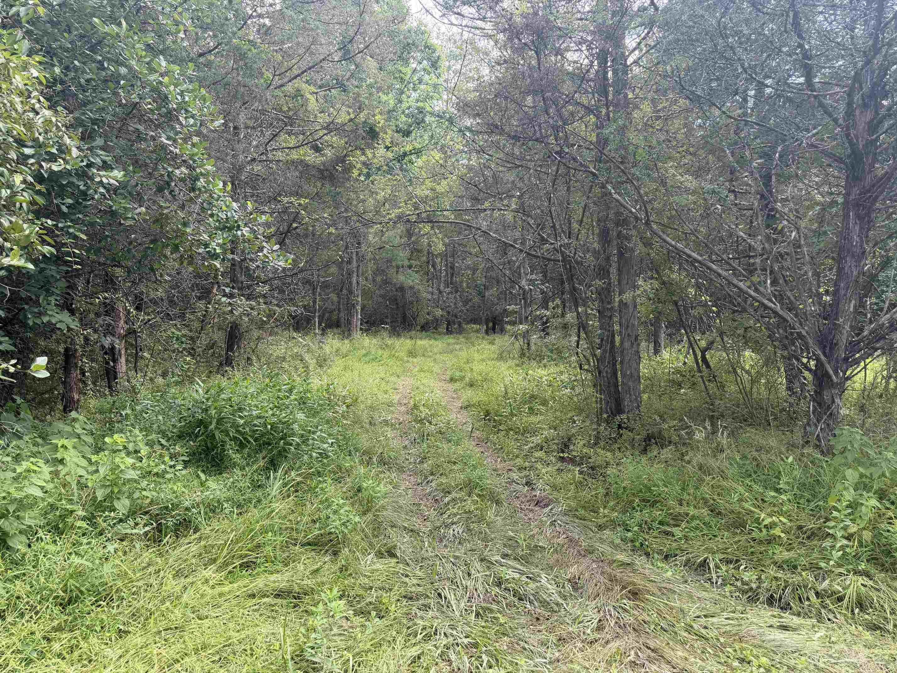 11289 COWPASTURE RIVER HWY, MILLBORO, Virginia 24460, ,Land,11289 COWPASTURE RIVER HWY,679650 MLS # 679650 11289 COWPASTURE RIVER HWY, MILLBORO, Virginia 24460, ,Land,11289 COWPASTURE RIVER HWY,679650 MLS # 679650