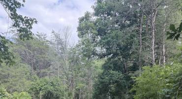 11289 COWPASTURE RIVER HWY, MILLBORO, Virginia 24460, ,Land,11289 COWPASTURE RIVER HWY,679650 MLS # 679650