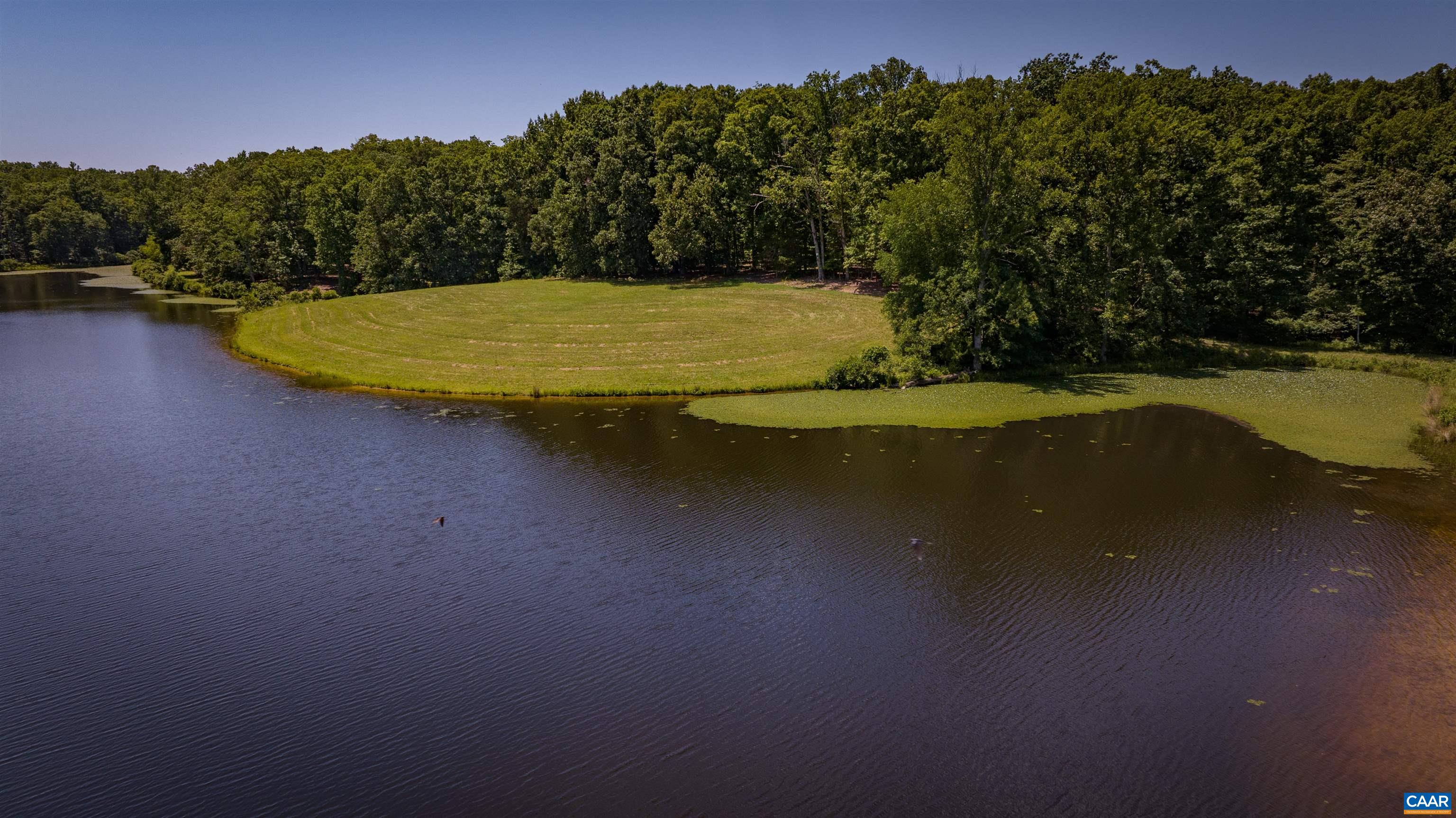 TM33-22, 22a, b&c PINE TREE RD, RHOADESVILLE, Virginia 22542, ,Farm,BLACK WALNUT RUN,TM33-22,22a,b&c PINE TREE RD,679654 MLS # 679654