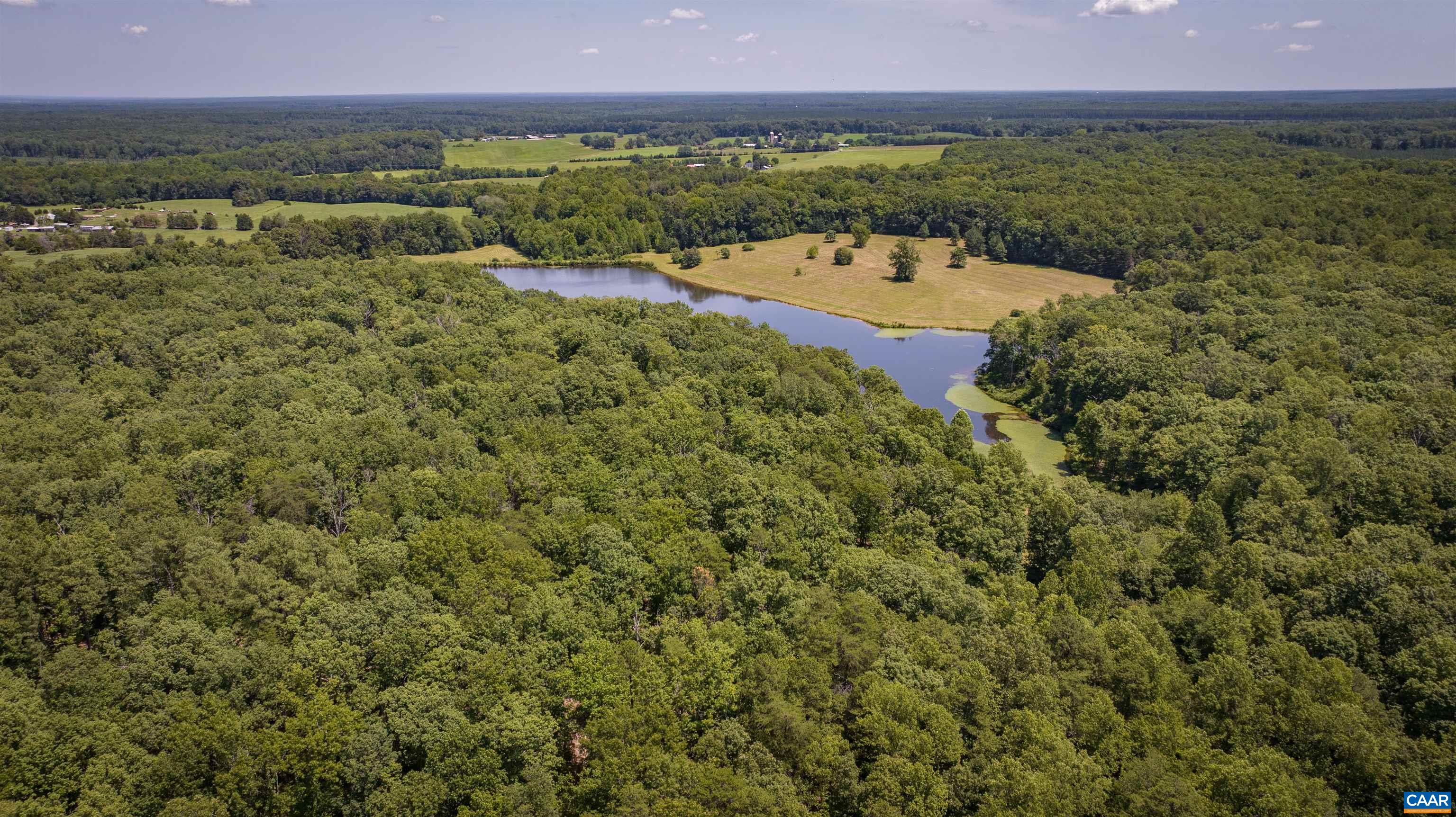 TM33-22, 22a, b&c PINE TREE RD, RHOADESVILLE, Virginia 22542, ,Farm,BLACK WALNUT RUN,TM33-22,22a,b&c PINE TREE RD,679654 MLS # 679654