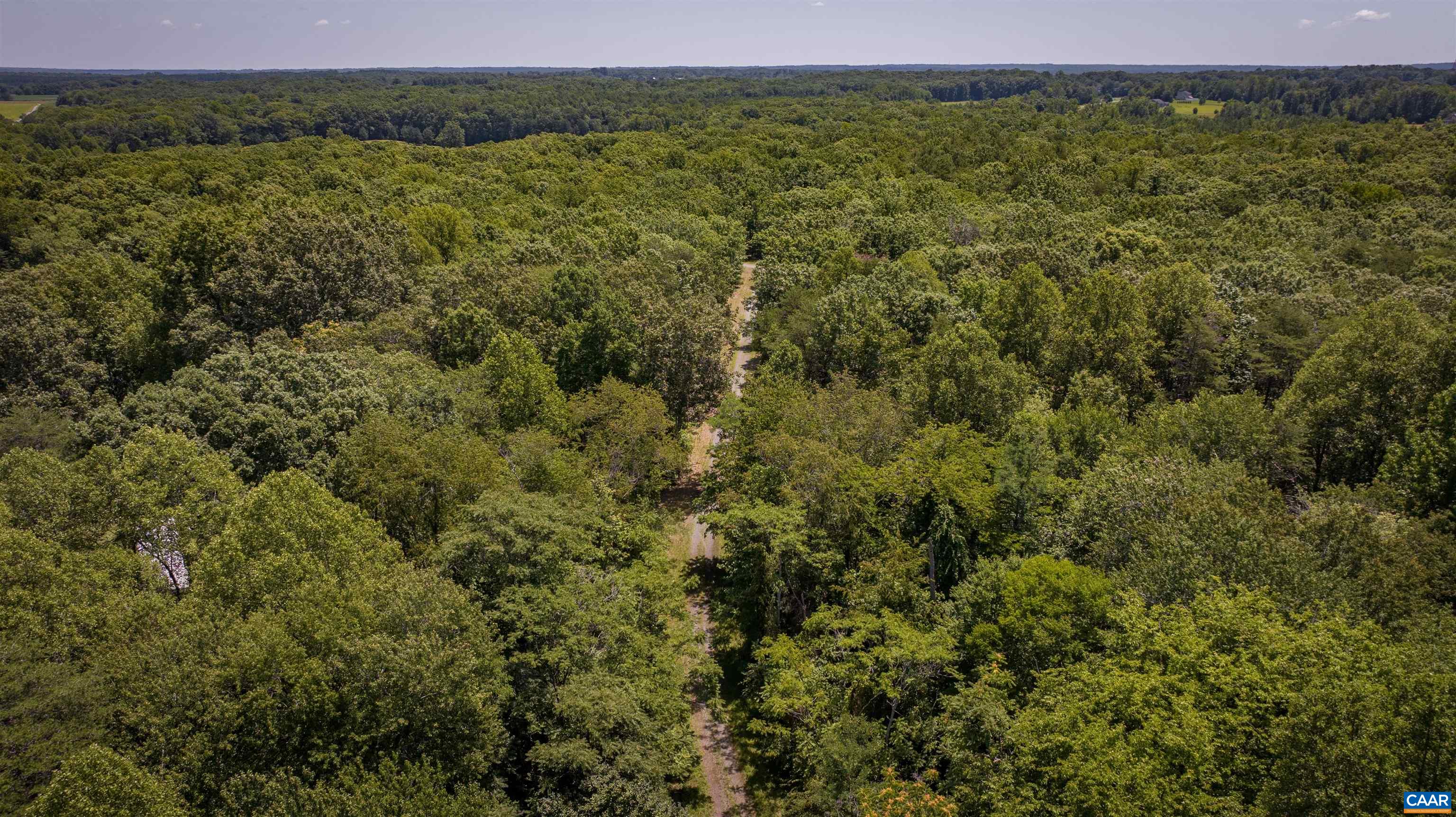 TM33-22, 22a, b&c PINE TREE RD, RHOADESVILLE, Virginia 22542, ,Farm,BLACK WALNUT RUN,TM33-22,22a,b&c PINE TREE RD,679654 MLS # 679654