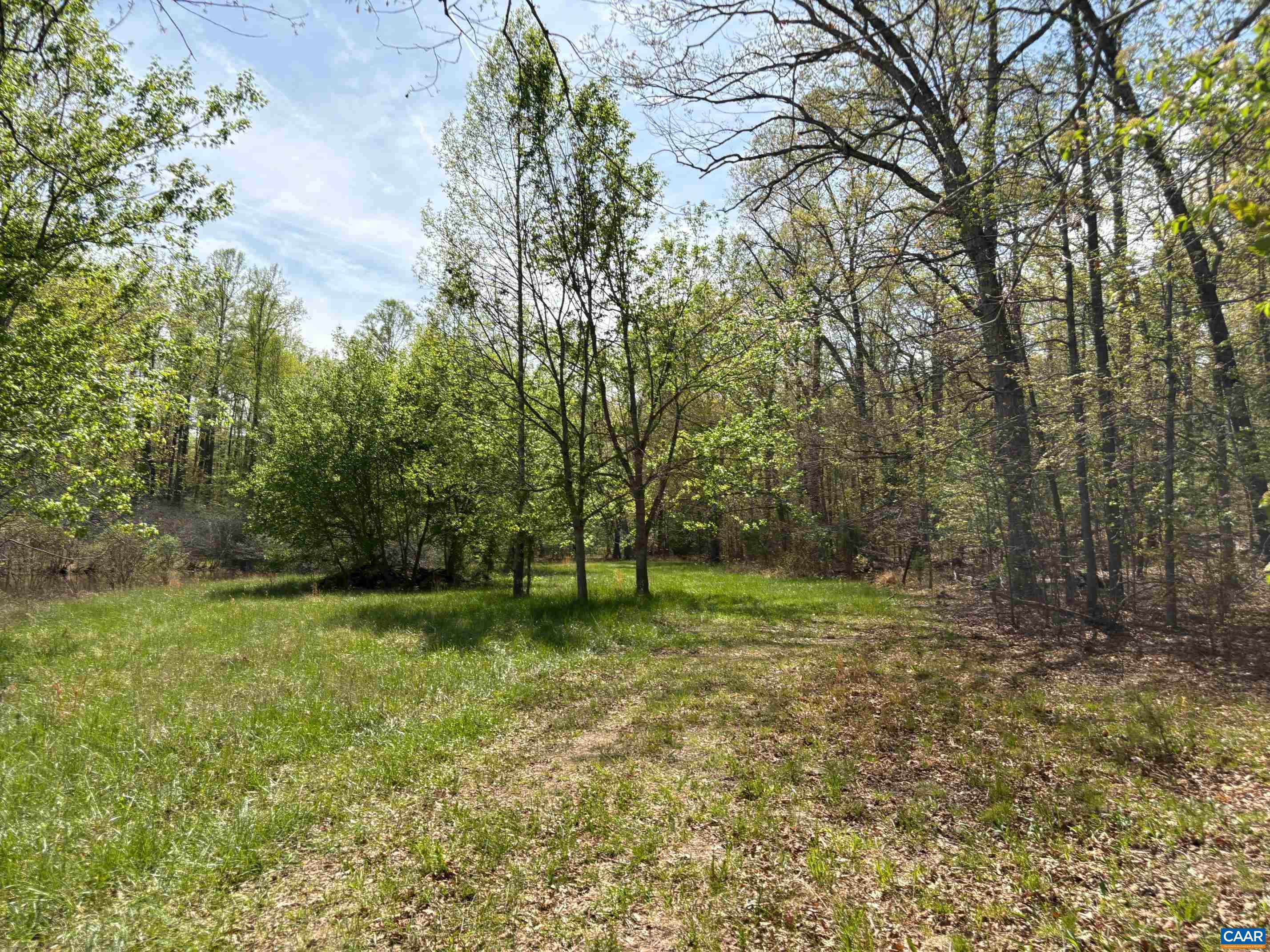 TM33-22, 22a, b&c PINE TREE RD, RHOADESVILLE, Virginia 22542, ,Farm,BLACK WALNUT RUN,TM33-22,22a,b&c PINE TREE RD,679654 MLS # 679654