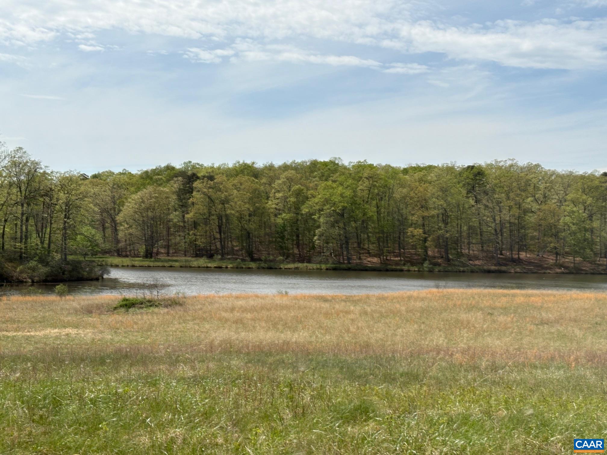 TM33-22, 22a, b&c PINE TREE RD, RHOADESVILLE, Virginia 22542, ,Farm,BLACK WALNUT RUN,TM33-22,22a,b&c PINE TREE RD,679654 MLS # 679654