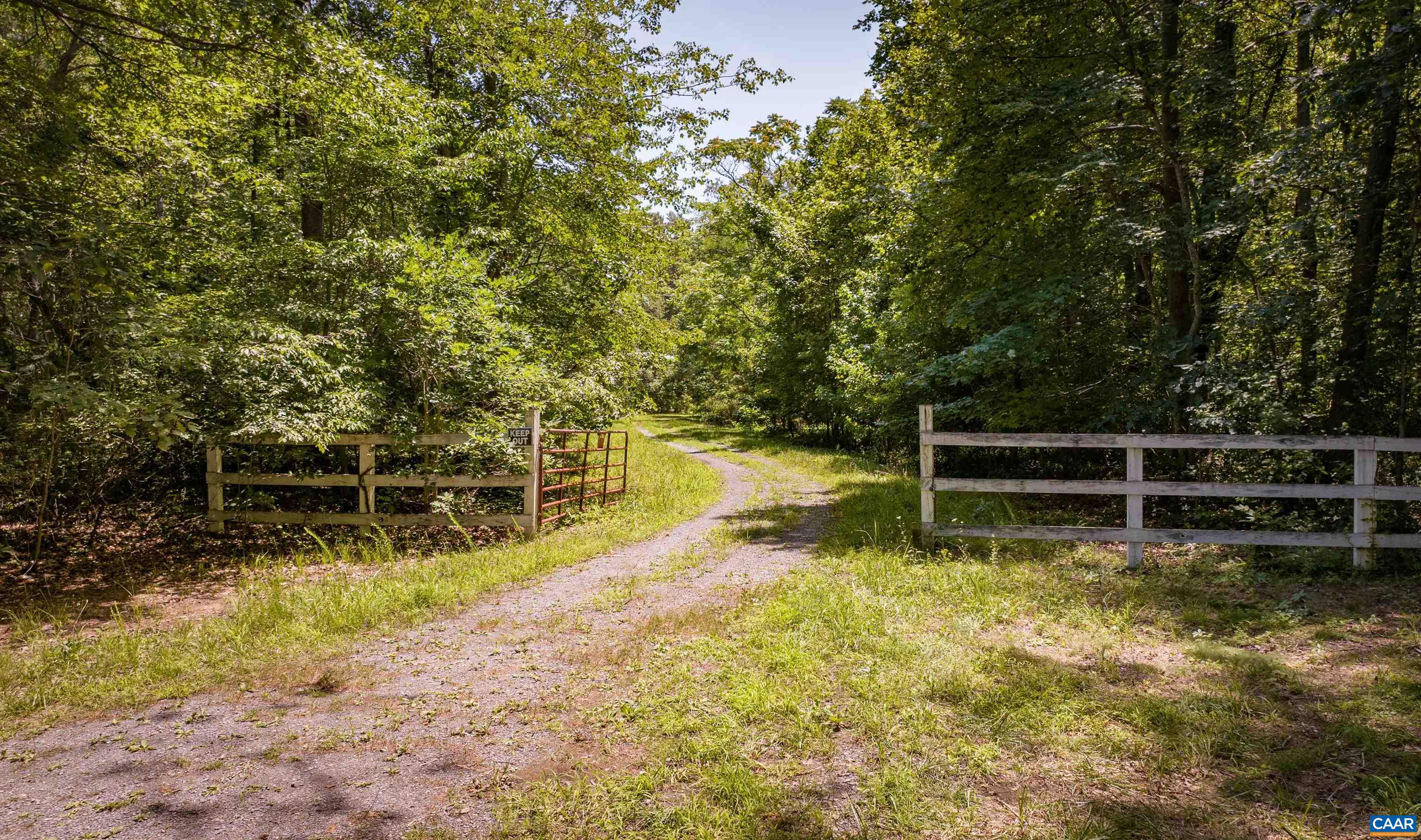 TM33-22, 22a, b&c PINE TREE RD, RHOADESVILLE, Virginia 22542, ,Farm,BLACK WALNUT RUN,TM33-22,22a,b&c PINE TREE RD,679654 MLS # 679654