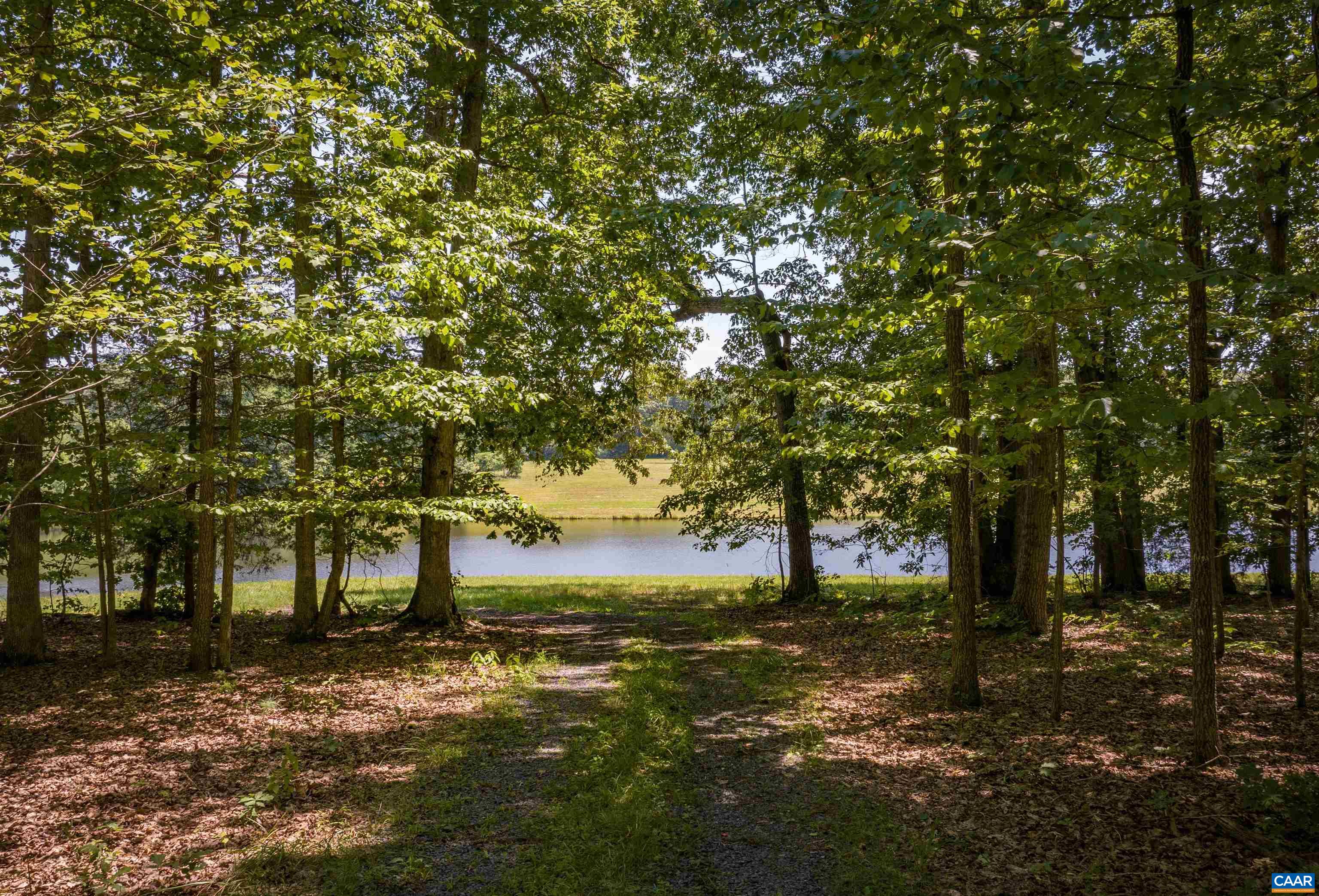 TM33-22, 22a, b&c PINE TREE RD, RHOADESVILLE, Virginia 22542, ,Farm,BLACK WALNUT RUN,TM33-22,22a,b&c PINE TREE RD,679654 MLS # 679654