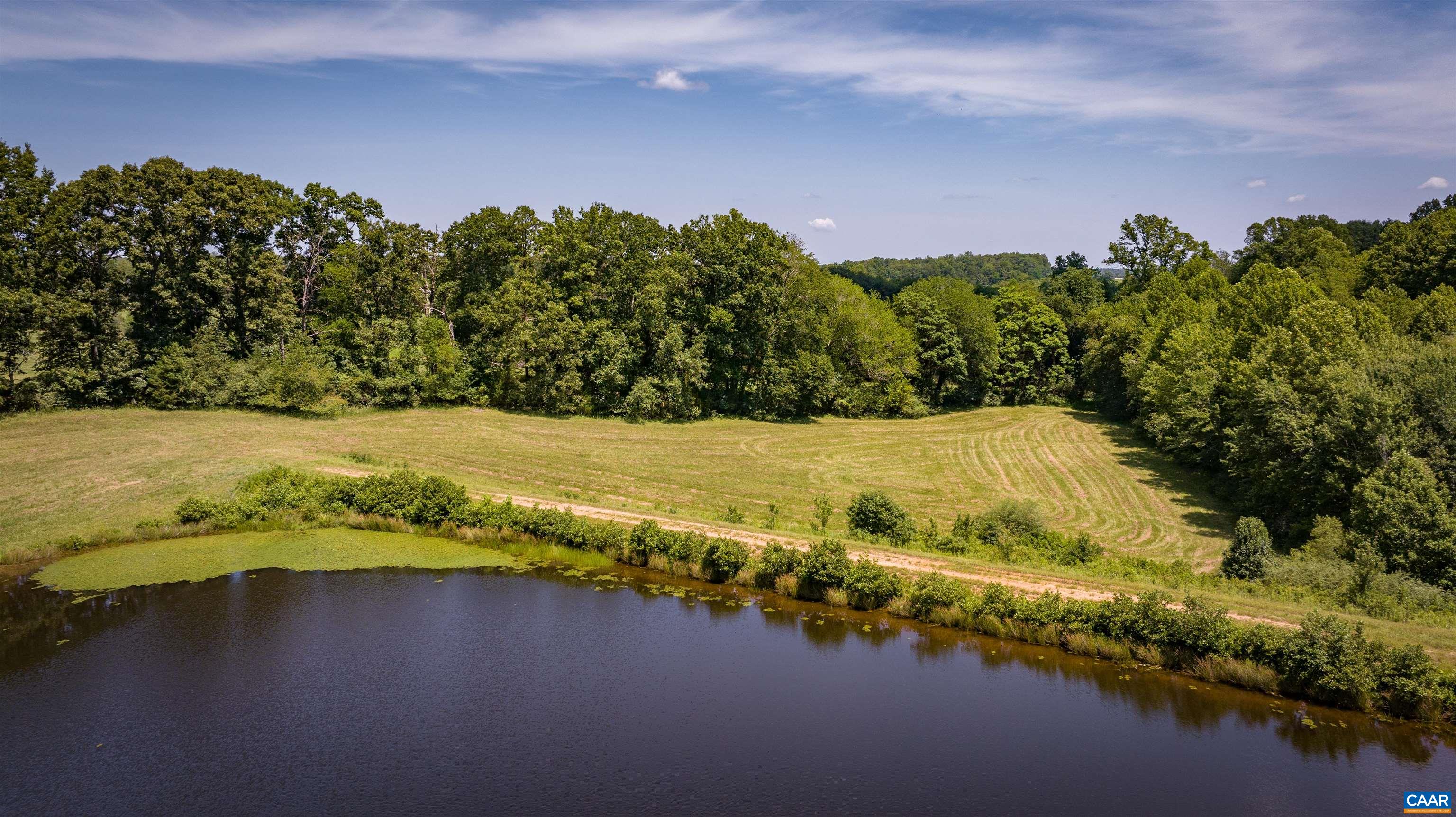 TM33-22, 22a, b&c PINE TREE RD, RHOADESVILLE, Virginia 22542, ,Farm,BLACK WALNUT RUN,TM33-22,22a,b&c PINE TREE RD,679654 MLS # 679654