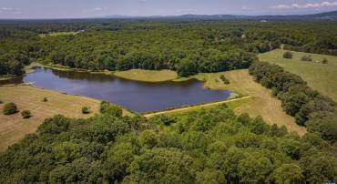 TM33-22, 22a, b&c PINE TREE RD, RHOADESVILLE, Virginia 22542, ,Farm,BLACK WALNUT RUN,TM33-22,22a,b&c PINE TREE RD,679654 MLS # 679654