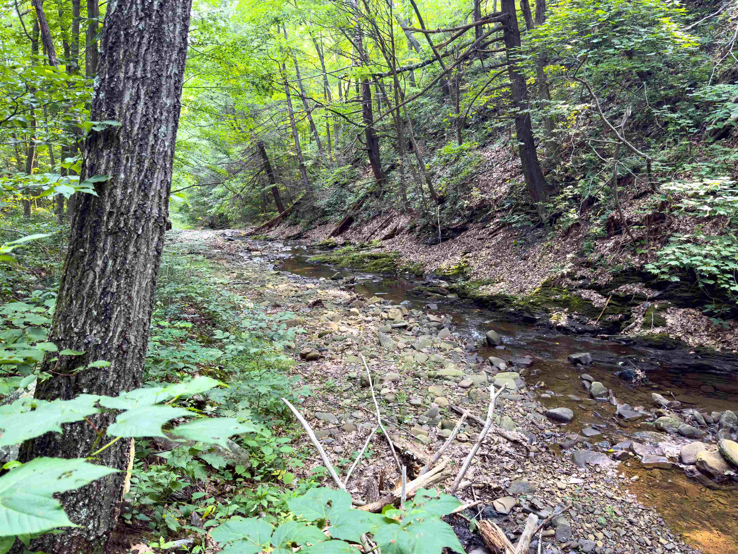 216 LITTLE CALF PASTURE HWY, SWOOPE, Virginia 24479, 3 Bedrooms Bedrooms, ,2 BathroomsBathrooms,Residential,216 LITTLE CALF PASTURE HWY,679656 MLS # 679656 216 LITTLE CALF PASTURE HWY, SWOOPE, Virginia 24479, 3 Bedrooms Bedrooms, ,2 BathroomsBathrooms,Residential,216 LITTLE CALF PASTURE HWY,679656 MLS # 679656
