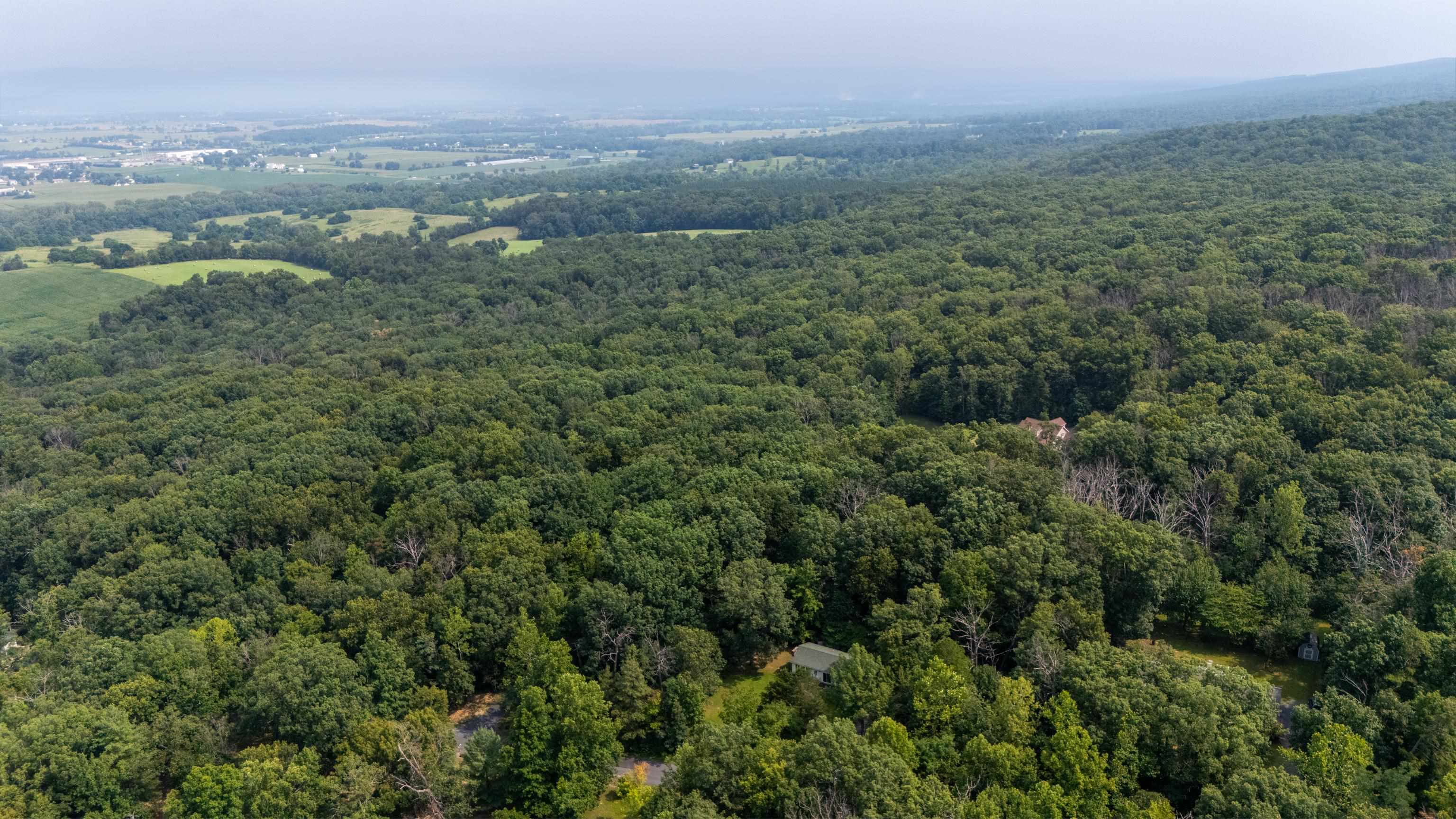 1077 FLEMING PARK RD, MOUNT JACKSON, Virginia 22842, 2 Bedrooms Bedrooms, ,1 BathroomBathrooms,Residential,1077 FLEMING PARK RD,679664 MLS # 679664 1077 FLEMING PARK RD, MOUNT JACKSON, Virginia 22842, 2 Bedrooms Bedrooms, ,1 BathroomBathrooms,Residential,1077 FLEMING PARK RD,679664 MLS # 679664