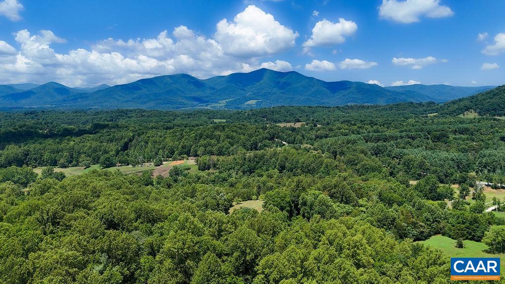 10598 PATRICK HENRY HWY, ROSELAND, Virginia 22967, 3 Bedrooms Bedrooms, ,2 BathroomsBathrooms,Residential,10598 PATRICK HENRY HWY,679679 MLS # 679679 10598 PATRICK HENRY HWY, ROSELAND, Virginia 22967, 3 Bedrooms Bedrooms, ,2 BathroomsBathrooms,Residential,10598 PATRICK HENRY HWY,679679 MLS # 679679