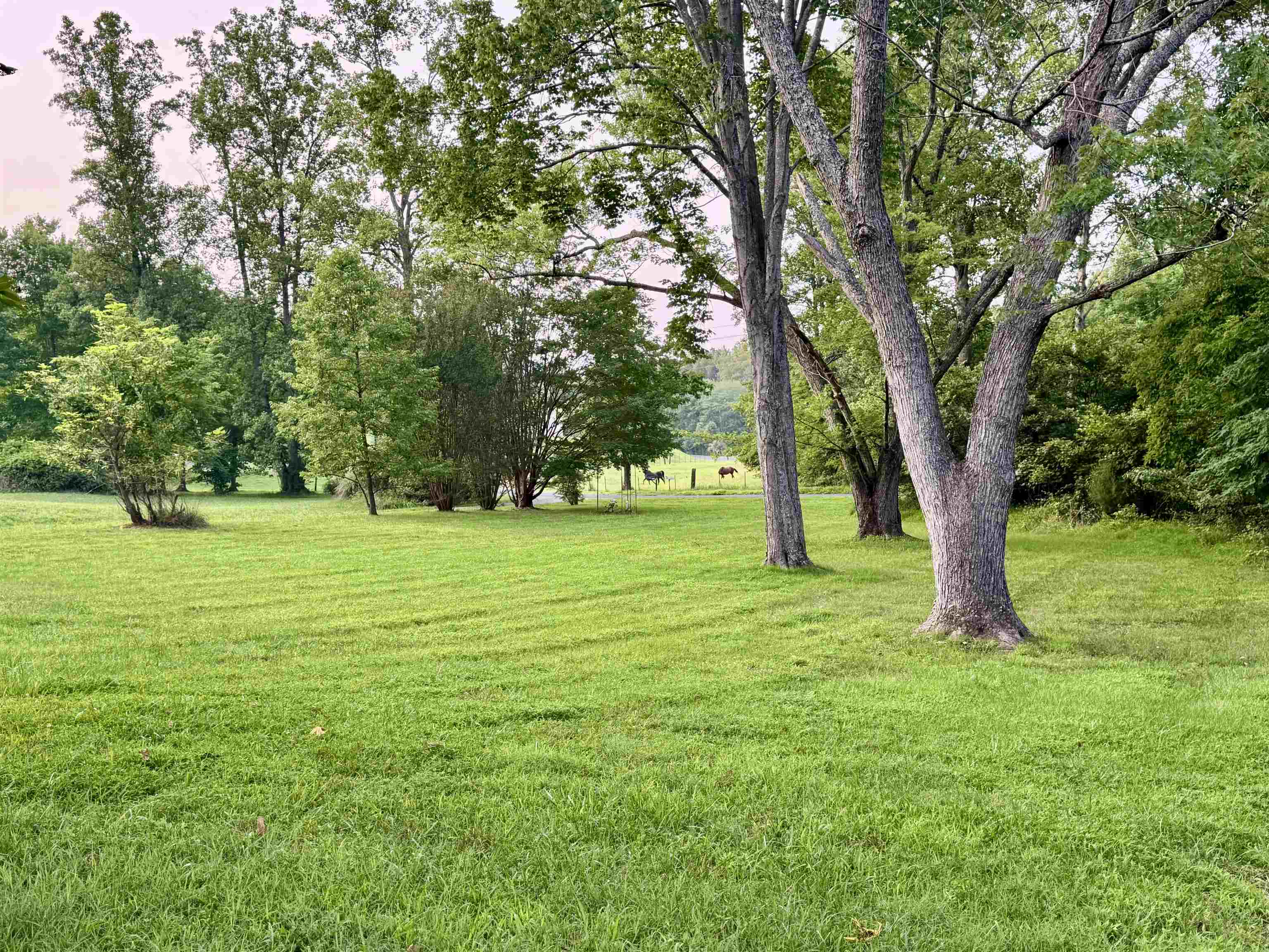 929 BROWNINGS CV, SHIPMAN, Virginia 22971, 5 Bedrooms Bedrooms, ,3 BathroomsBathrooms,Residential,929 BROWNINGS CV,679685 MLS # 679685 929 BROWNINGS CV, SHIPMAN, Virginia 22971, 5 Bedrooms Bedrooms, ,3 BathroomsBathrooms,Residential,929 BROWNINGS CV,679685 MLS # 679685