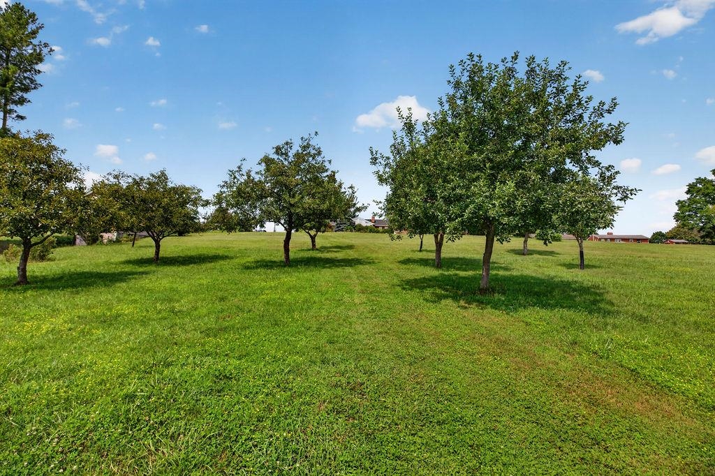 120 TRINITY POINT RD, SWOOPE, Virginia 24479, 3 Bedrooms Bedrooms, ,3 BathroomsBathrooms,Residential,120 TRINITY POINT RD,679687 MLS # 679687 120 TRINITY POINT RD, SWOOPE, Virginia 24479, 3 Bedrooms Bedrooms, ,3 BathroomsBathrooms,Residential,120 TRINITY POINT RD,679687 MLS # 679687