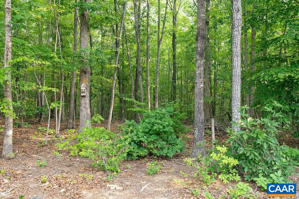 137 JEFFAL LN, SCOTTSVILLE, Virginia 24590, 1 Bedroom Bedrooms, ,1 BathroomBathrooms,Residential,137 JEFFAL LN,679688 MLS # 679688 137 JEFFAL LN, SCOTTSVILLE, Virginia 24590, 1 Bedroom Bedrooms, ,1 BathroomBathrooms,Residential,137 JEFFAL LN,679688 MLS # 679688