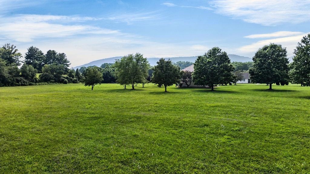 TBD BRADFORD ST, SWOOPE, Virginia 24479, ,Land,TBD BRADFORD ST,679752 MLS # 679752