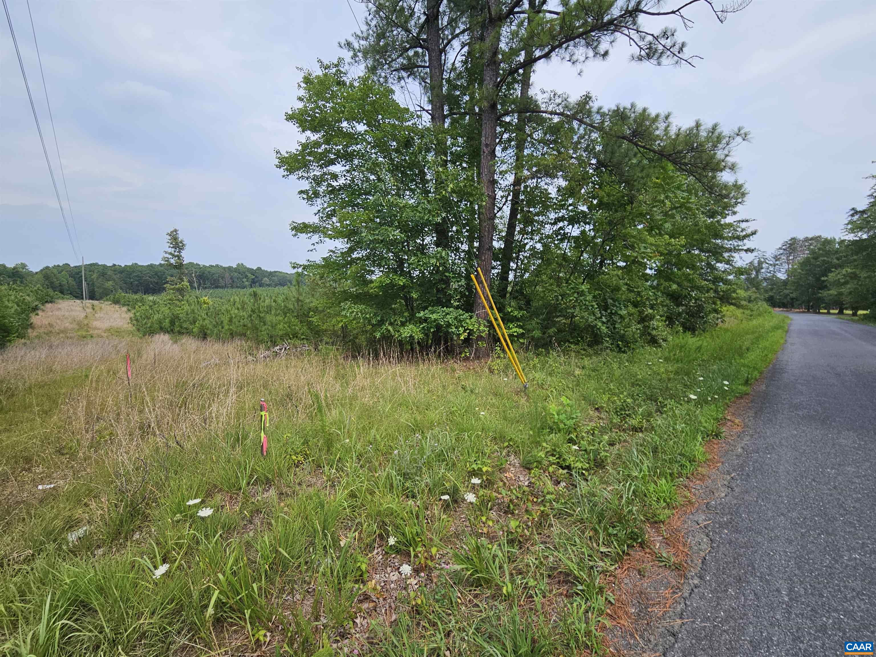 4 Ac PENLAN RD, ARVONIA, Virginia 23004, ,Land,4 Ac PENLAN RD,679762 MLS # 679762