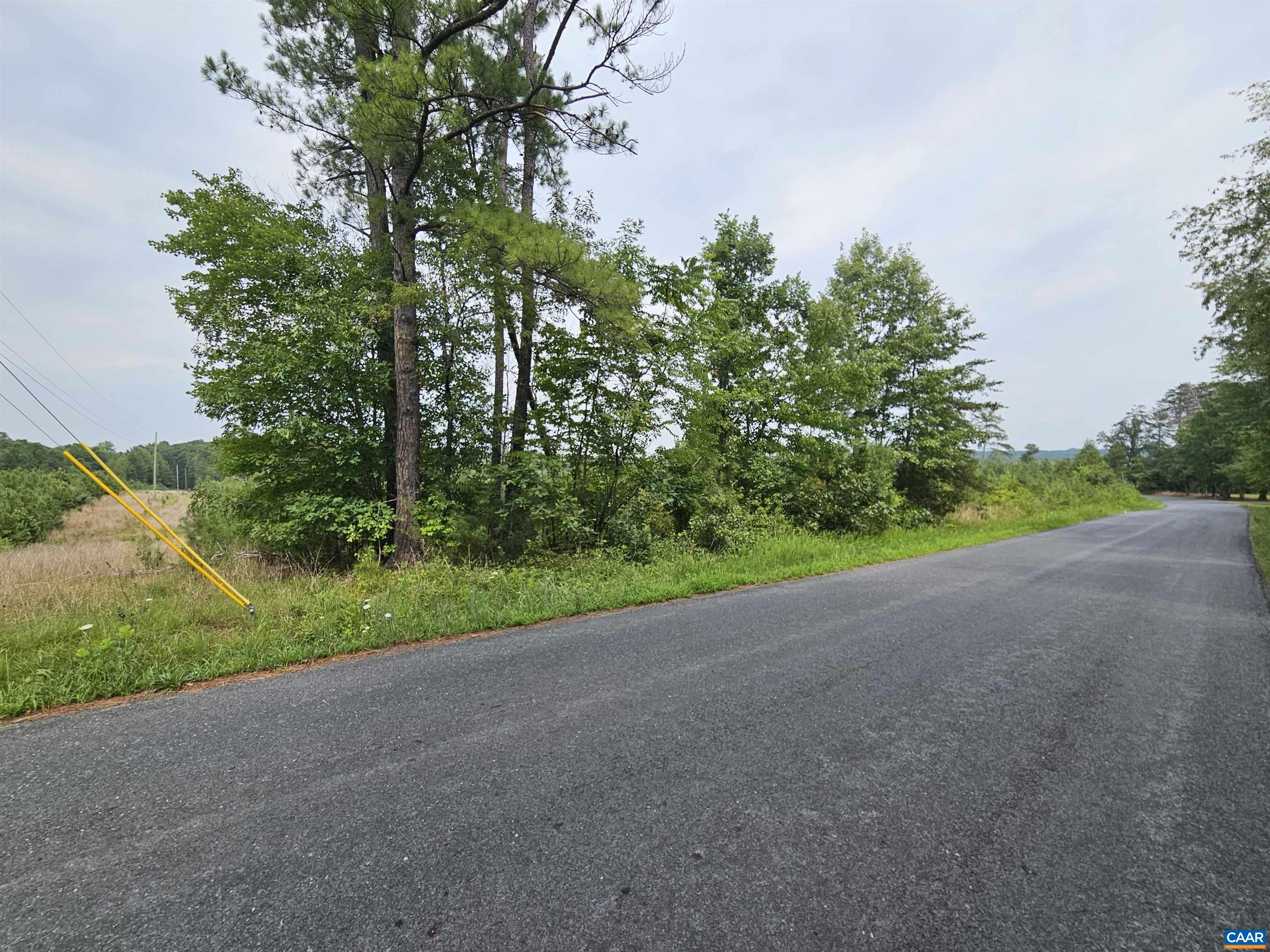 4 Ac PENLAN RD, ARVONIA, Virginia 23004, ,Land,4 Ac PENLAN RD,679762 MLS # 679762 4 Ac PENLAN RD, ARVONIA, Virginia 23004, ,Land,4 Ac PENLAN RD,679762 MLS # 679762