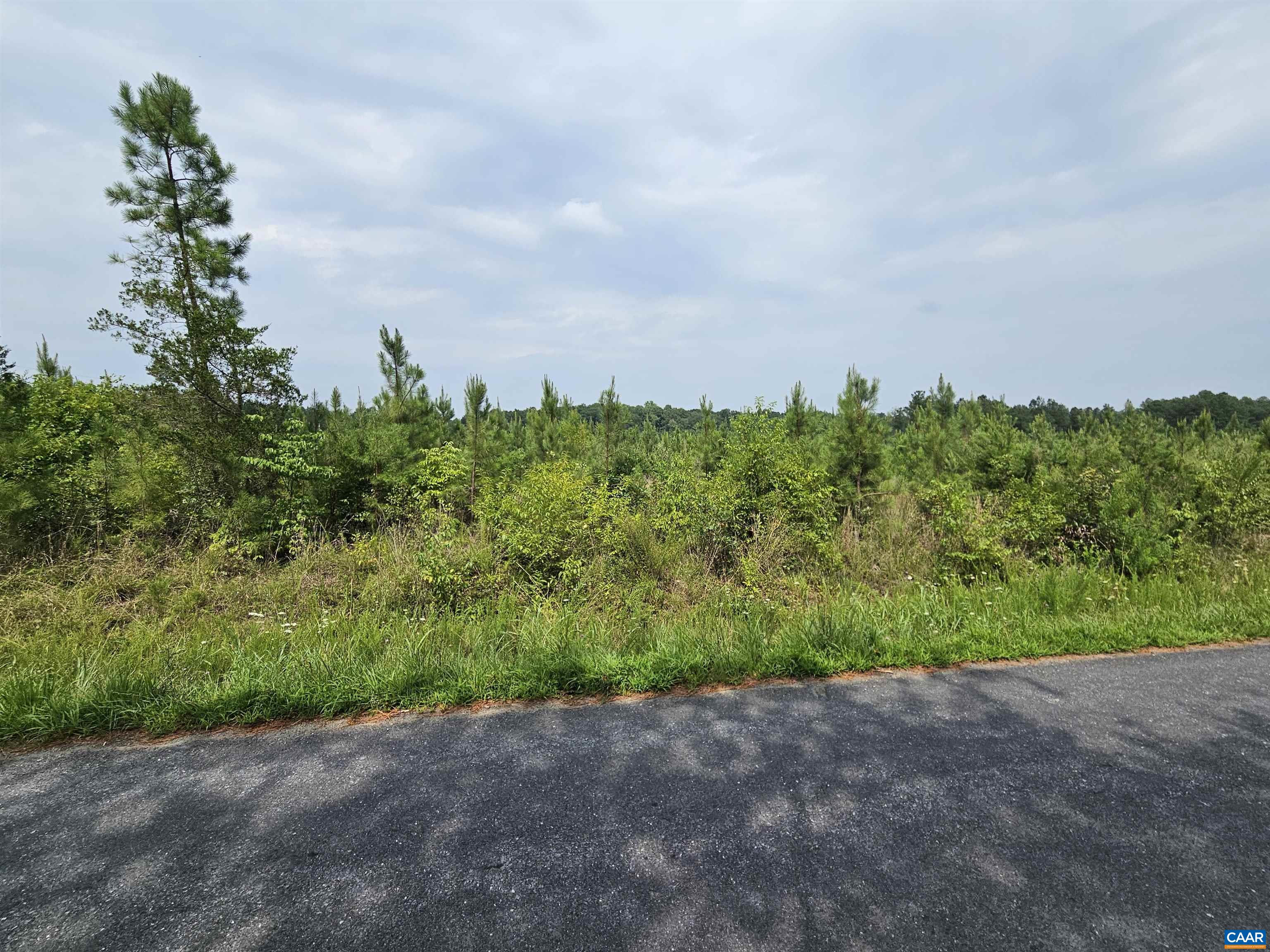 4 Ac PENLAN RD, ARVONIA, Virginia 23004, ,Land,4 Ac PENLAN RD,679762 MLS # 679762 4 Ac PENLAN RD, ARVONIA, Virginia 23004, ,Land,4 Ac PENLAN RD,679762 MLS # 679762