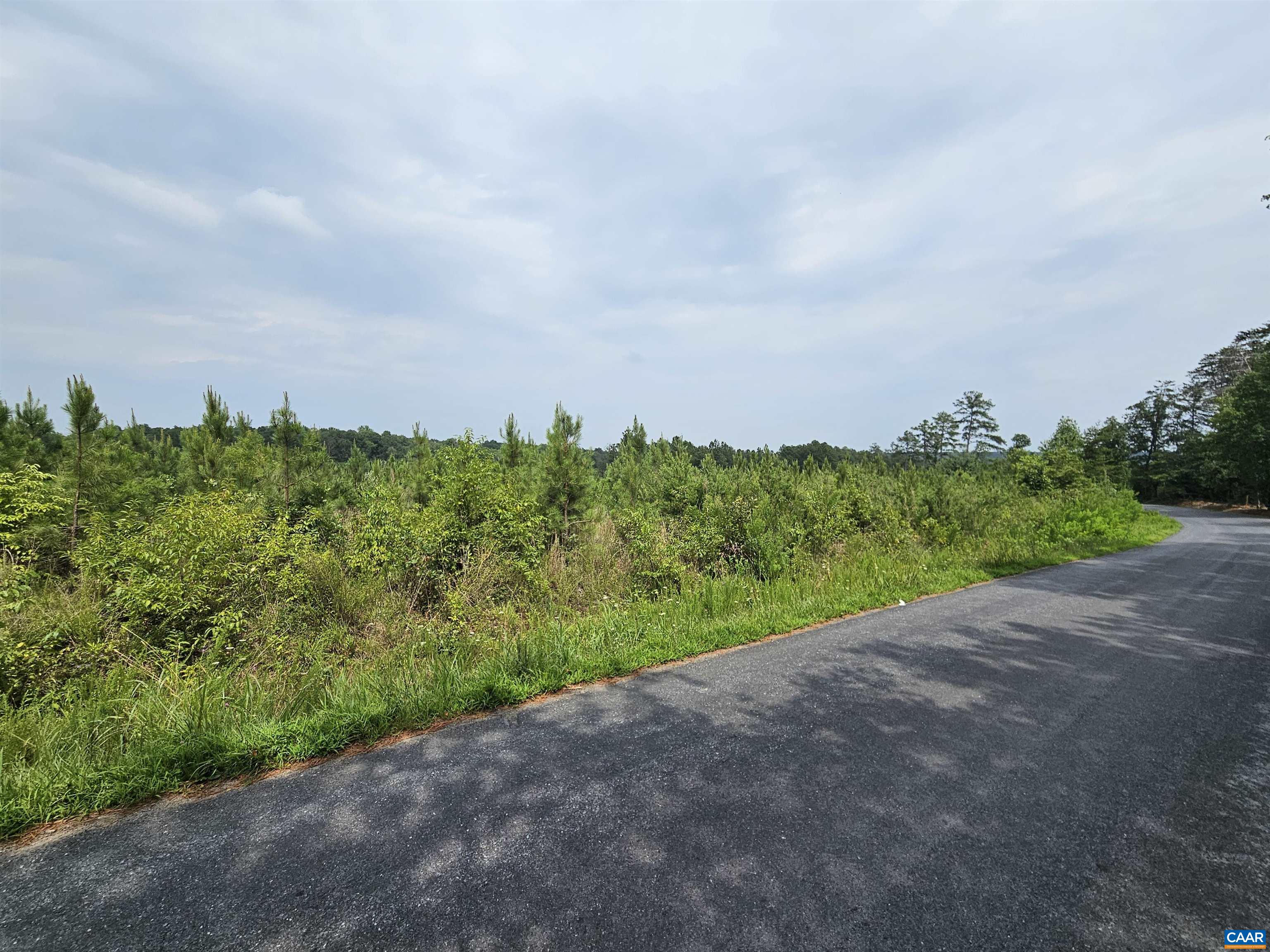 4 Ac PENLAN RD, ARVONIA, Virginia 23004, ,Land,4 Ac PENLAN RD,679762 MLS # 679762 4 Ac PENLAN RD, ARVONIA, Virginia 23004, ,Land,4 Ac PENLAN RD,679762 MLS # 679762