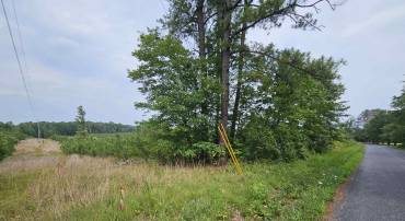 4 Ac PENLAN RD, ARVONIA, Virginia 23004, ,Land,4 Ac PENLAN RD,679762 MLS # 679762