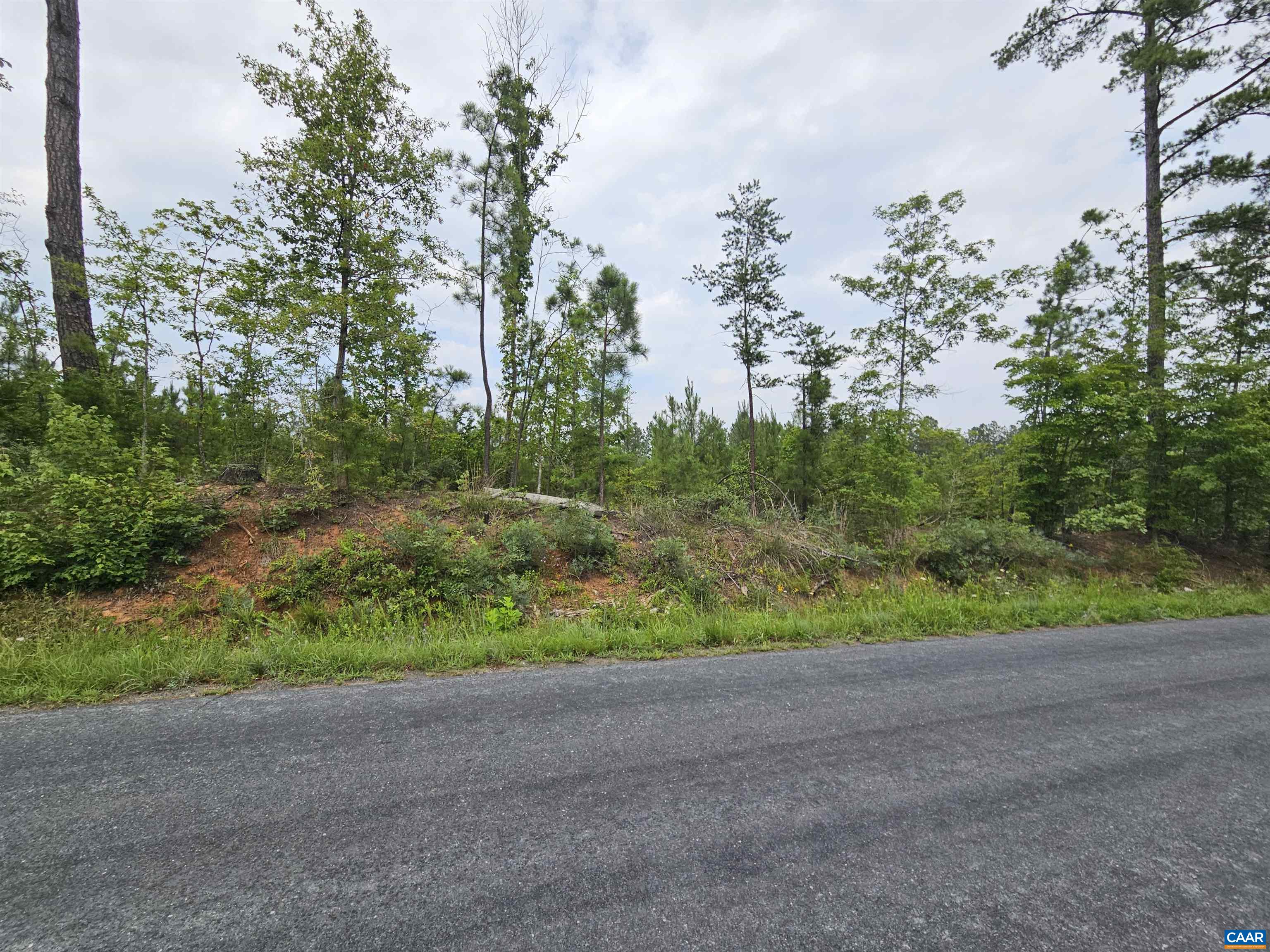 2.67 Ac PENLAN RD, ARVONIA, Virginia 23004, ,Land,2.67 Ac PENLAN RD,679763 MLS # 679763