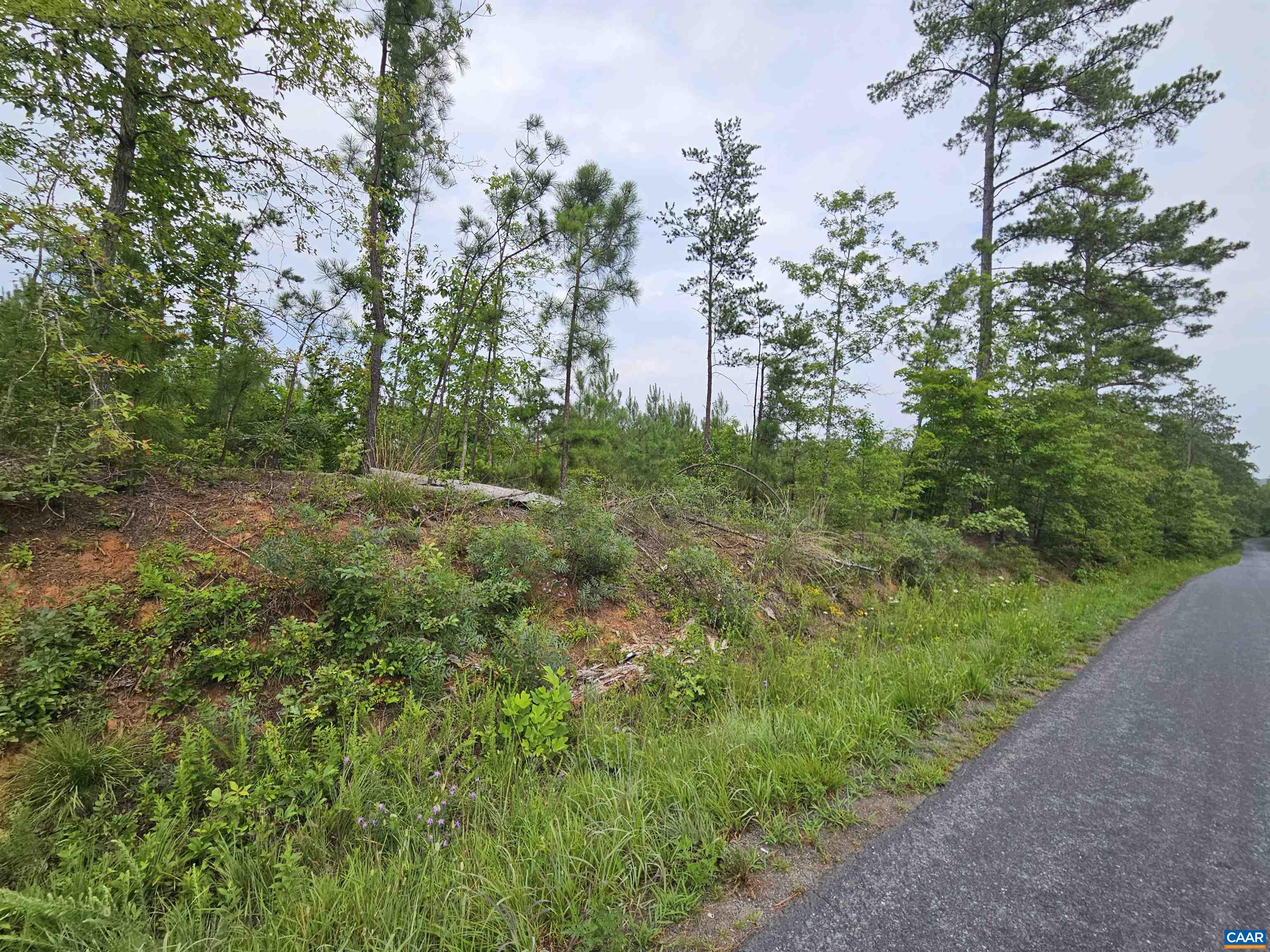 2.67 Ac PENLAN RD, ARVONIA, Virginia 23004, ,Land,2.67 Ac PENLAN RD,679763 MLS # 679763 2.67 Ac PENLAN RD, ARVONIA, Virginia 23004, ,Land,2.67 Ac PENLAN RD,679763 MLS # 679763