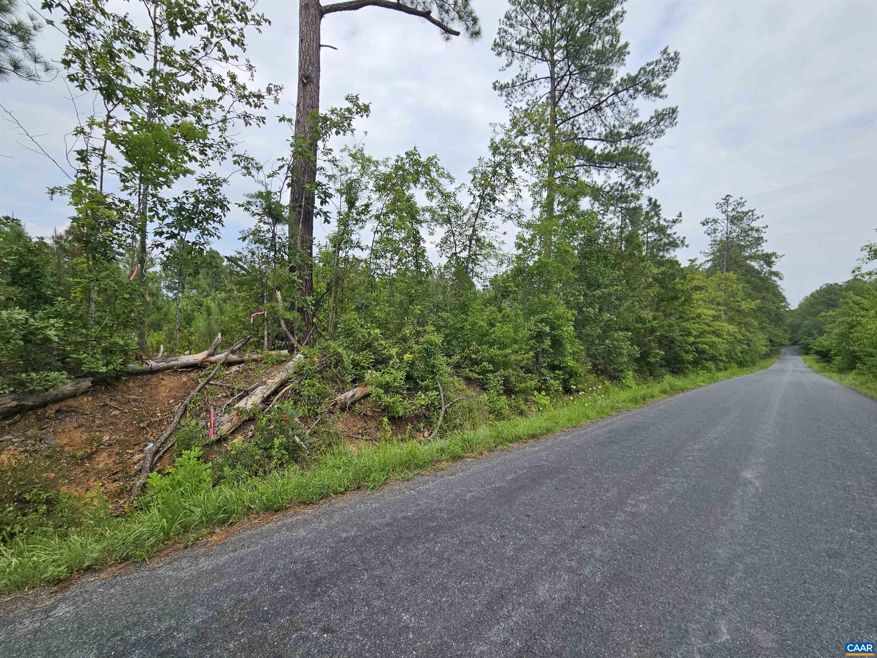 2.67 Ac PENLAN RD, ARVONIA, Virginia 23004, ,Land,2.67 Ac PENLAN RD,679763 MLS # 679763 2.67 Ac PENLAN RD, ARVONIA, Virginia 23004, ,Land,2.67 Ac PENLAN RD,679763 MLS # 679763