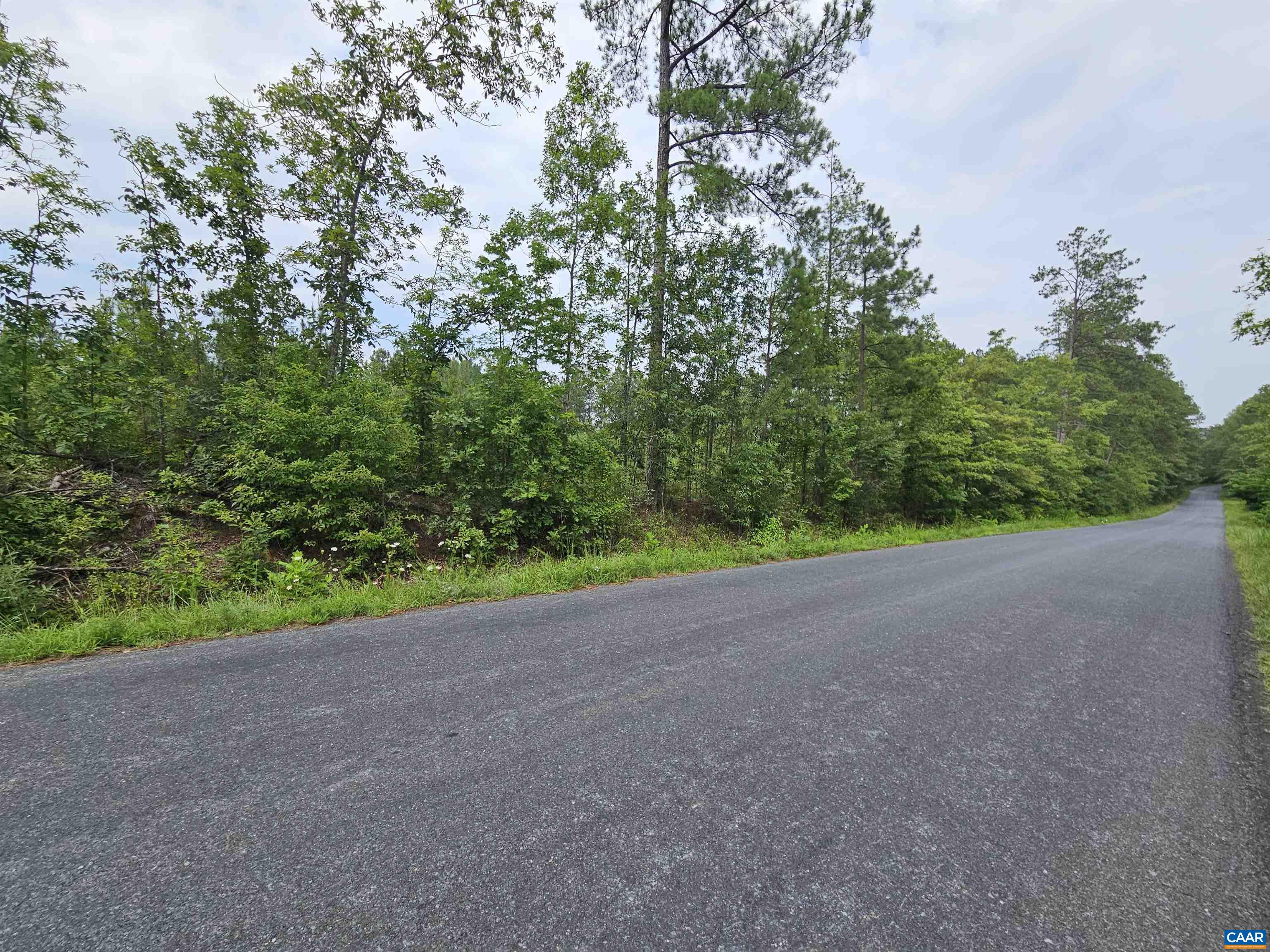 2.67 Ac PENLAN RD, ARVONIA, Virginia 23004, ,Land,2.67 Ac PENLAN RD,679763 MLS # 679763 2.67 Ac PENLAN RD, ARVONIA, Virginia 23004, ,Land,2.67 Ac PENLAN RD,679763 MLS # 679763