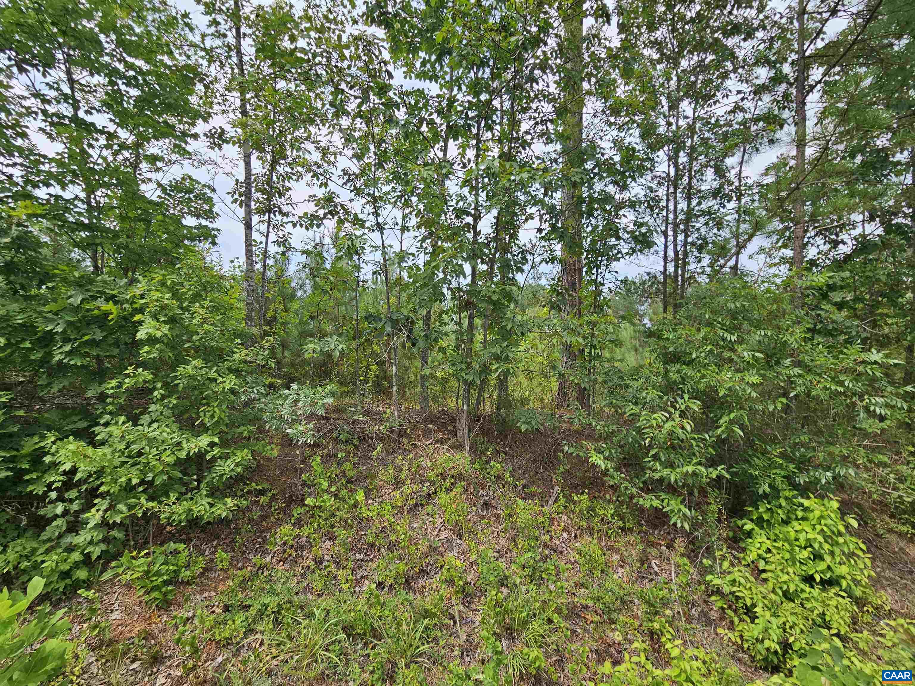 2.78 Ac PENLAN RD, ARVONIA, Virginia 23004, ,Land,2.78 Ac PENLAN RD,679765 MLS # 679765