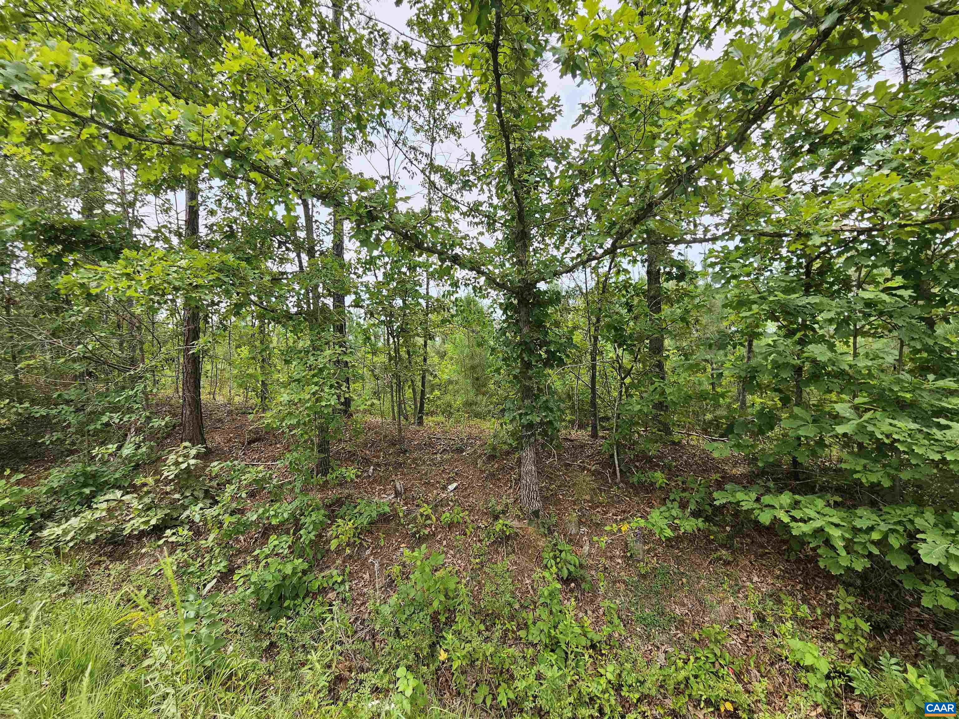 2.78 Ac PENLAN RD, ARVONIA, Virginia 23004, ,Land,2.78 Ac PENLAN RD,679765 MLS # 679765 2.78 Ac PENLAN RD, ARVONIA, Virginia 23004, ,Land,2.78 Ac PENLAN RD,679765 MLS # 679765