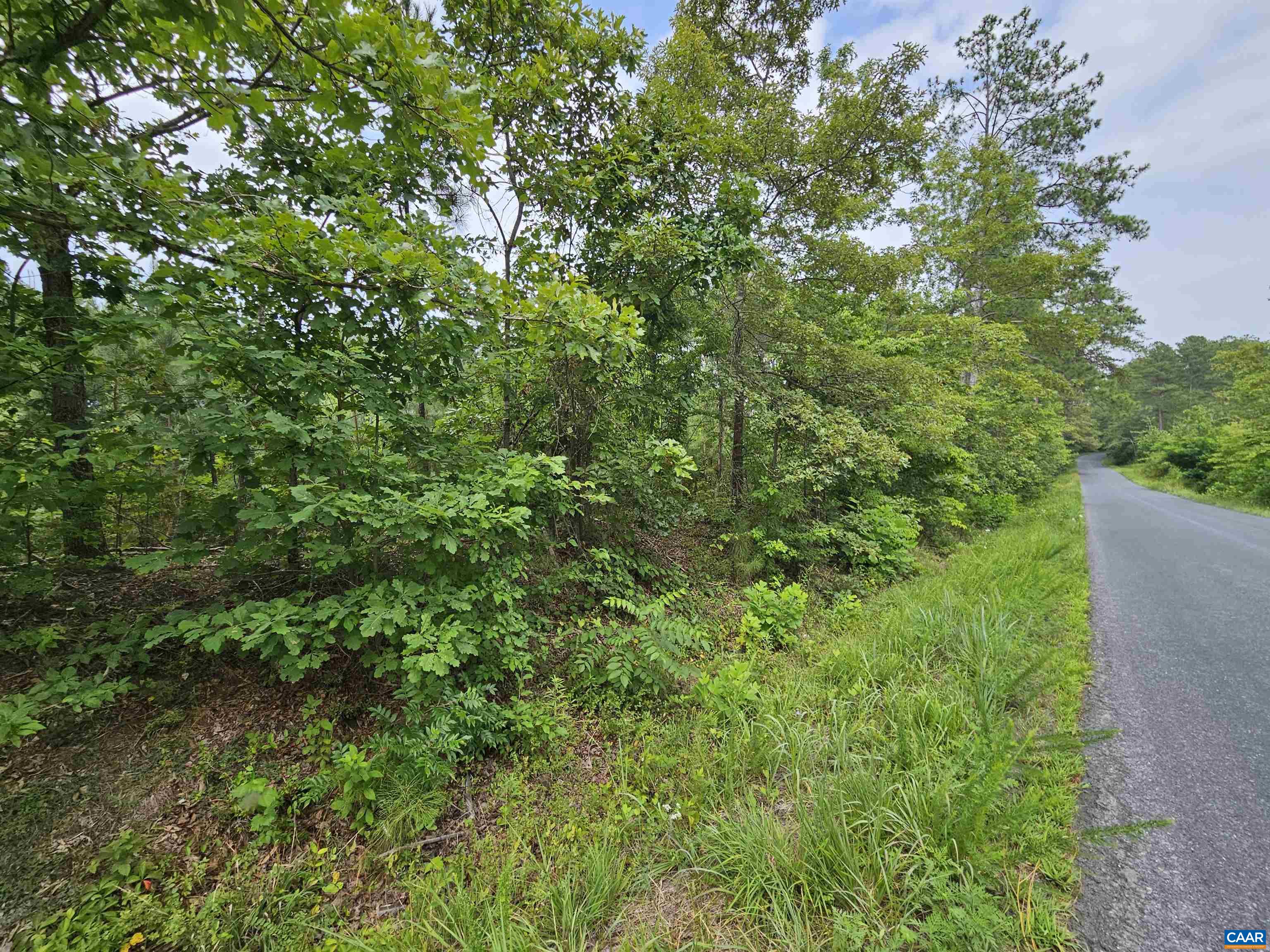 2.78 Ac PENLAN RD, ARVONIA, Virginia 23004, ,Land,2.78 Ac PENLAN RD,679765 MLS # 679765 2.78 Ac PENLAN RD, ARVONIA, Virginia 23004, ,Land,2.78 Ac PENLAN RD,679765 MLS # 679765