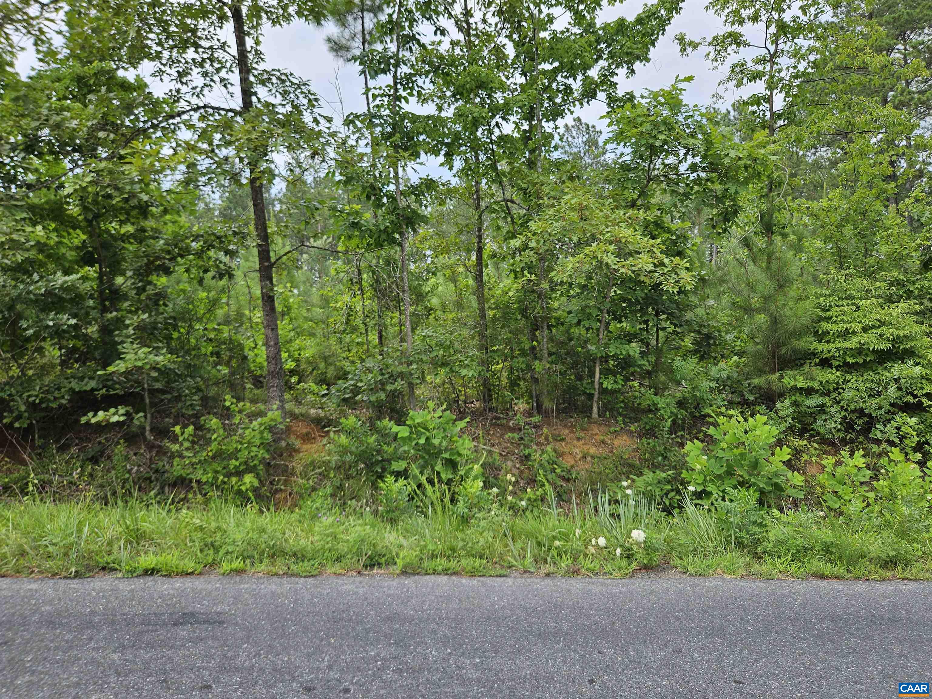 2.78 Ac PENLAN RD, ARVONIA, Virginia 23004, ,Land,2.78 Ac PENLAN RD,679765 MLS # 679765 2.78 Ac PENLAN RD, ARVONIA, Virginia 23004, ,Land,2.78 Ac PENLAN RD,679765 MLS # 679765