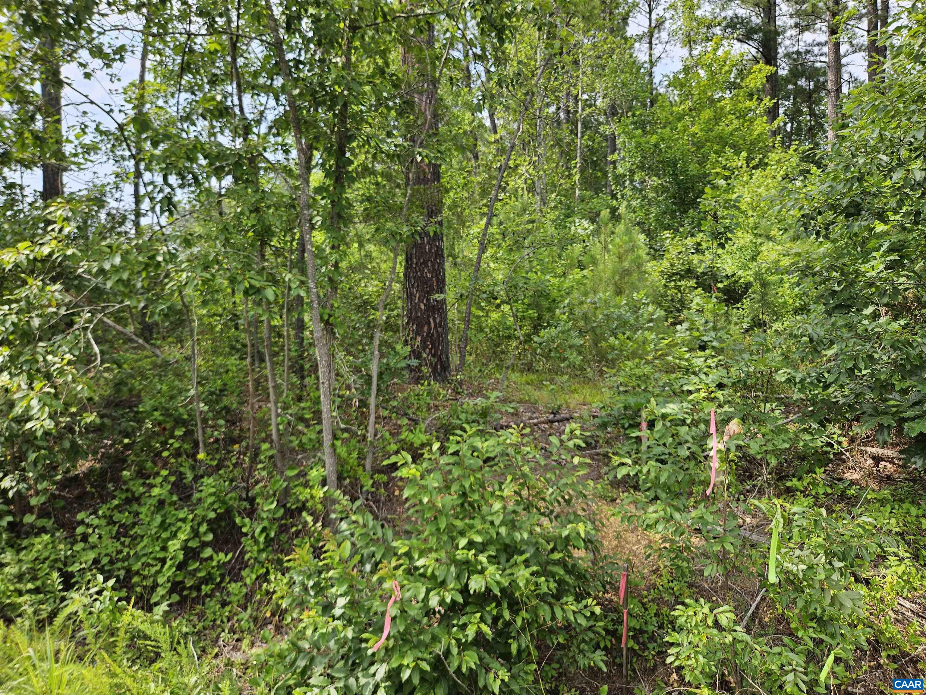 2.78 Ac PENLAN RD, ARVONIA, Virginia 23004, ,Land,2.78 Ac PENLAN RD,679765 MLS # 679765 2.78 Ac PENLAN RD, ARVONIA, Virginia 23004, ,Land,2.78 Ac PENLAN RD,679765 MLS # 679765