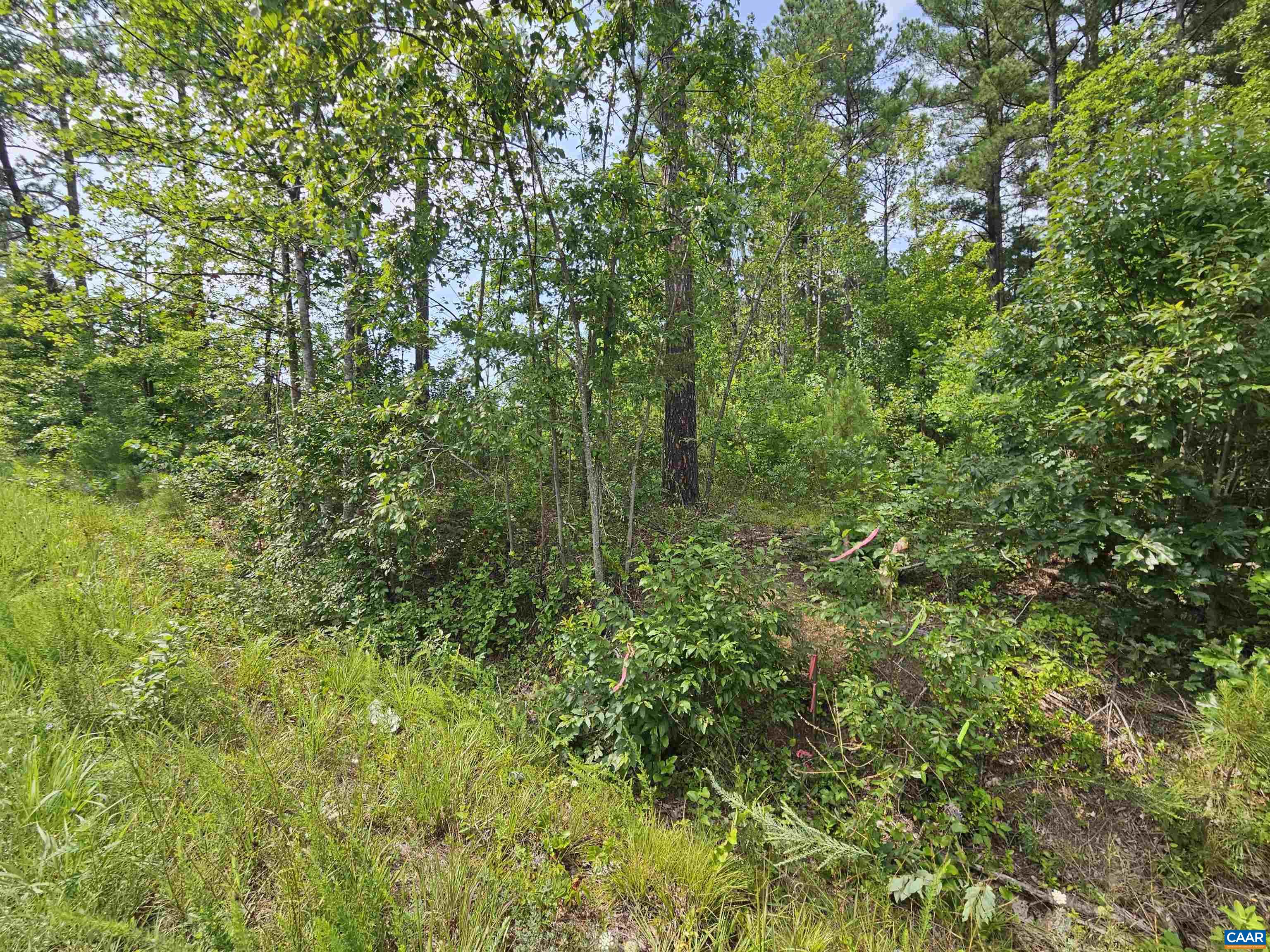 2.78 Ac PENLAN RD, ARVONIA, Virginia 23004, ,Land,2.78 Ac PENLAN RD,679765 MLS # 679765 2.78 Ac PENLAN RD, ARVONIA, Virginia 23004, ,Land,2.78 Ac PENLAN RD,679765 MLS # 679765