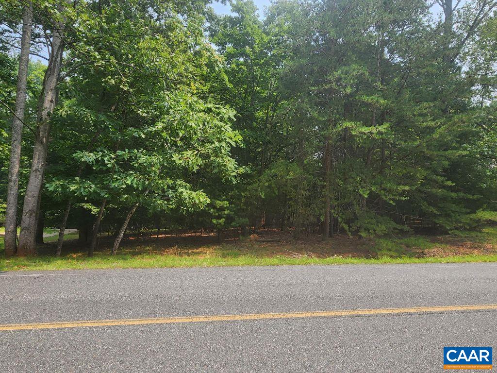 29 BARRETT ST, PALMYRA, Virginia 22963, ,Land,29 BARRETT ST,679777 MLS # 679777 29 BARRETT ST, PALMYRA, Virginia 22963, ,Land,29 BARRETT ST,679777 MLS # 679777