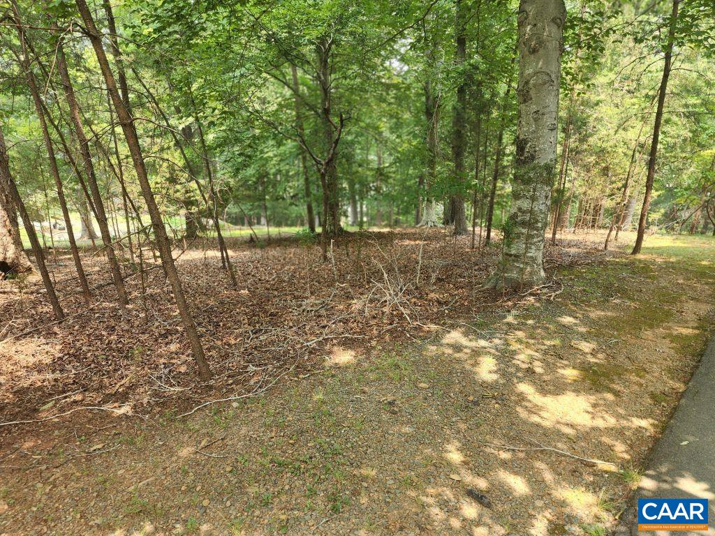 29 BARRETT ST, PALMYRA, Virginia 22963, ,Land,29 BARRETT ST,679777 MLS # 679777 29 BARRETT ST, PALMYRA, Virginia 22963, ,Land,29 BARRETT ST,679777 MLS # 679777