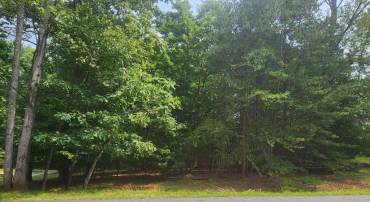 29 BARRETT ST, PALMYRA, Virginia 22963, ,Land,29 BARRETT ST,679777 MLS # 679777