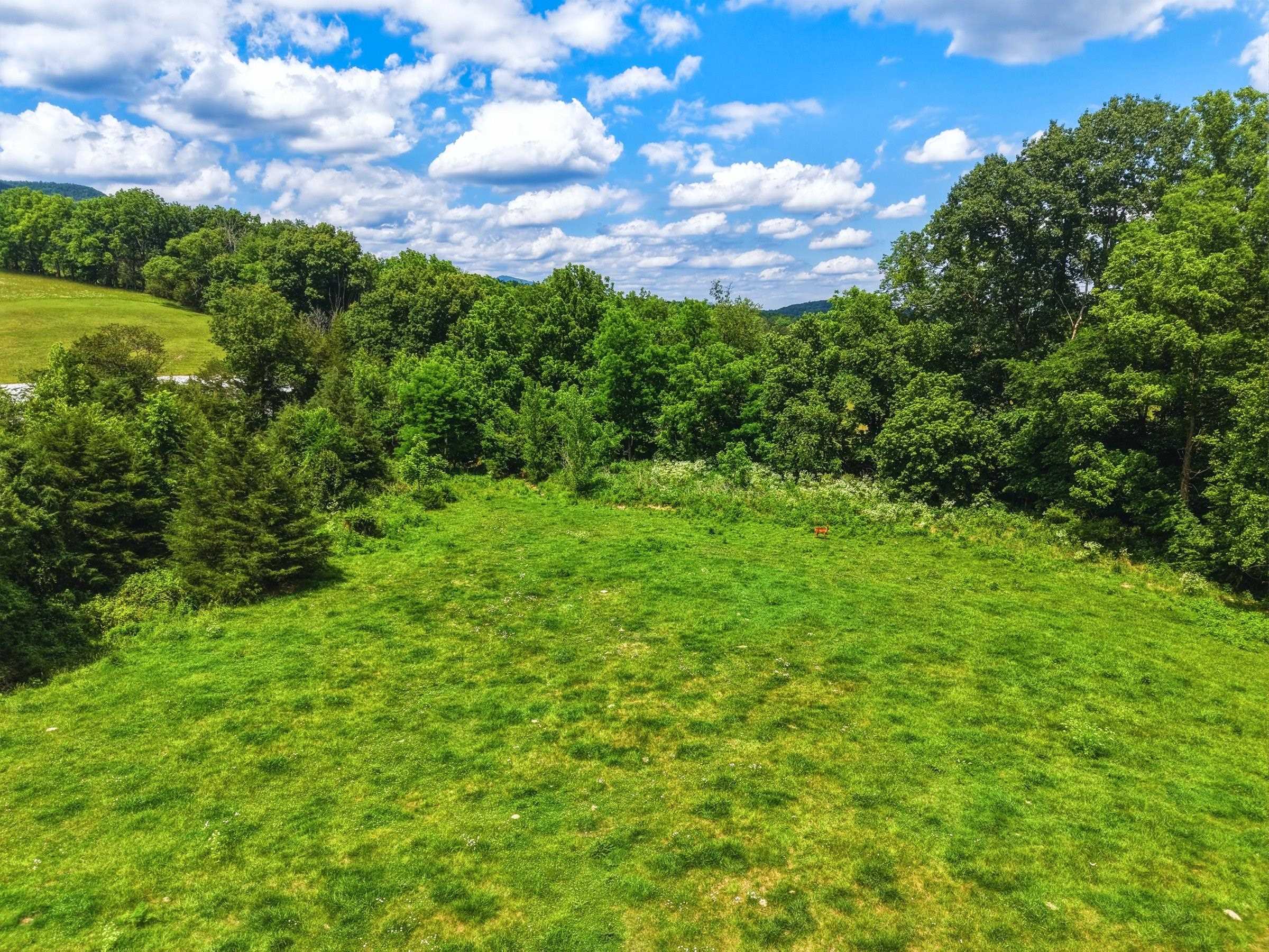 0 NEWPORT RD, SHENANDOAH, Virginia 22849, ,Land,0 NEWPORT RD,679778 MLS # 679778