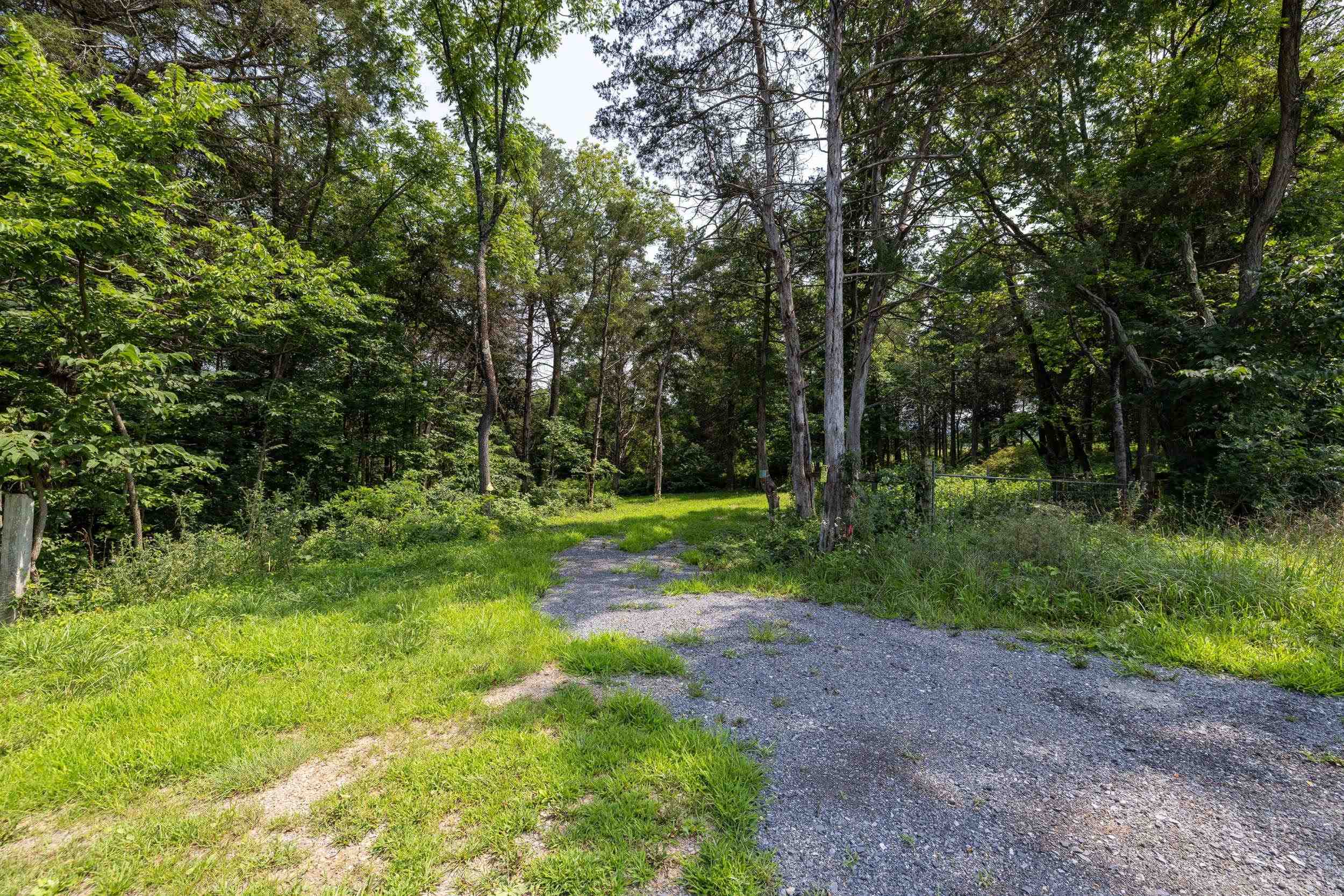 TBD US HWY 211 W, LURAY, Virginia 22835, ,Land,TBD US HWY 211 W, Luray, VA 22835,TBD US HWY 211 W,679783 MLS # 679783 TBD US HWY 211 W, LURAY, Virginia 22835, ,Land,TBD US HWY 211 W, Luray, VA 22835,TBD US HWY 211 W,679783 MLS # 679783