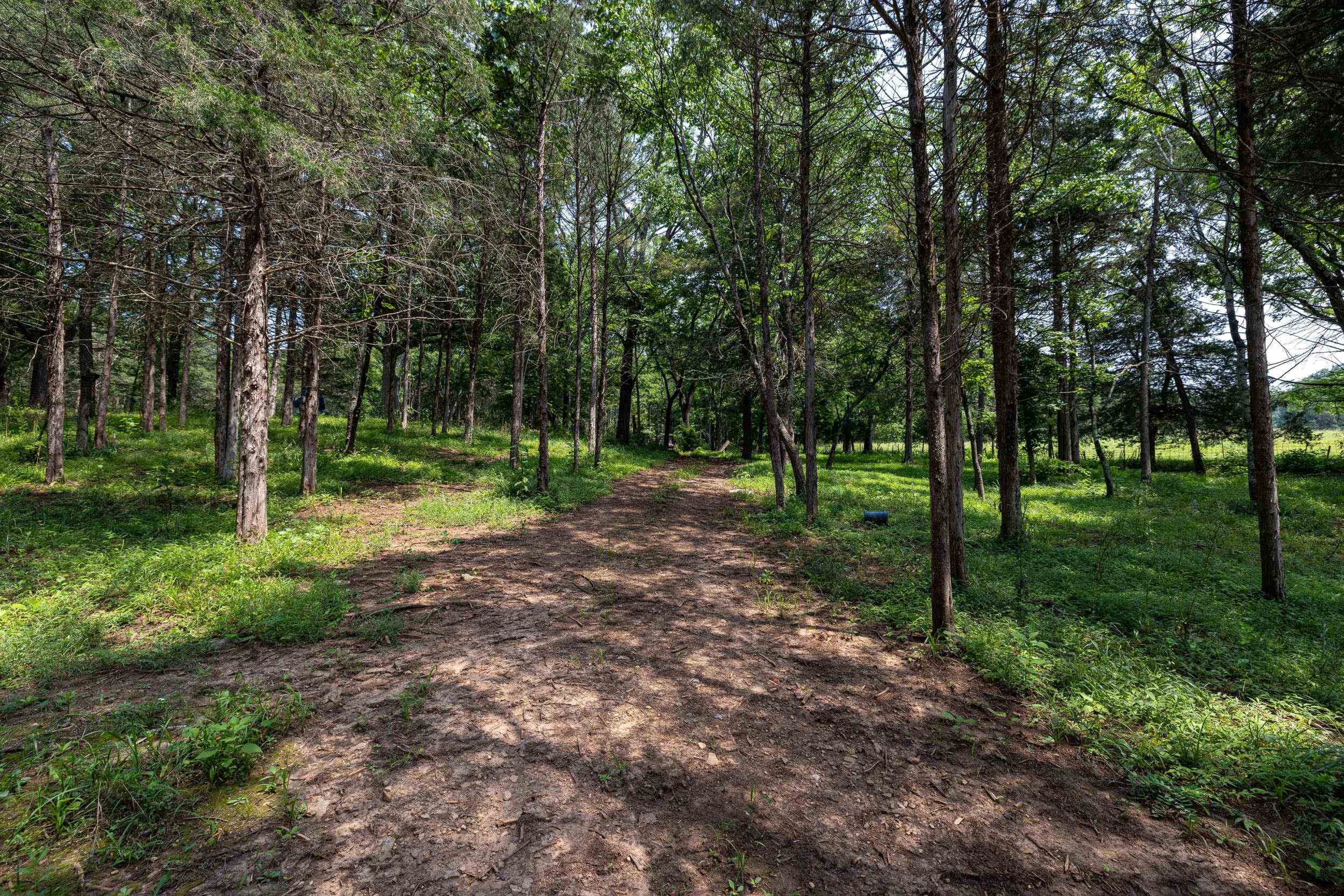 TBD US HWY 211 W, LURAY, Virginia 22835, ,Land,TBD US HWY 211 W, Luray, VA 22835,TBD US HWY 211 W,679783 MLS # 679783 TBD US HWY 211 W, LURAY, Virginia 22835, ,Land,TBD US HWY 211 W, Luray, VA 22835,TBD US HWY 211 W,679783 MLS # 679783