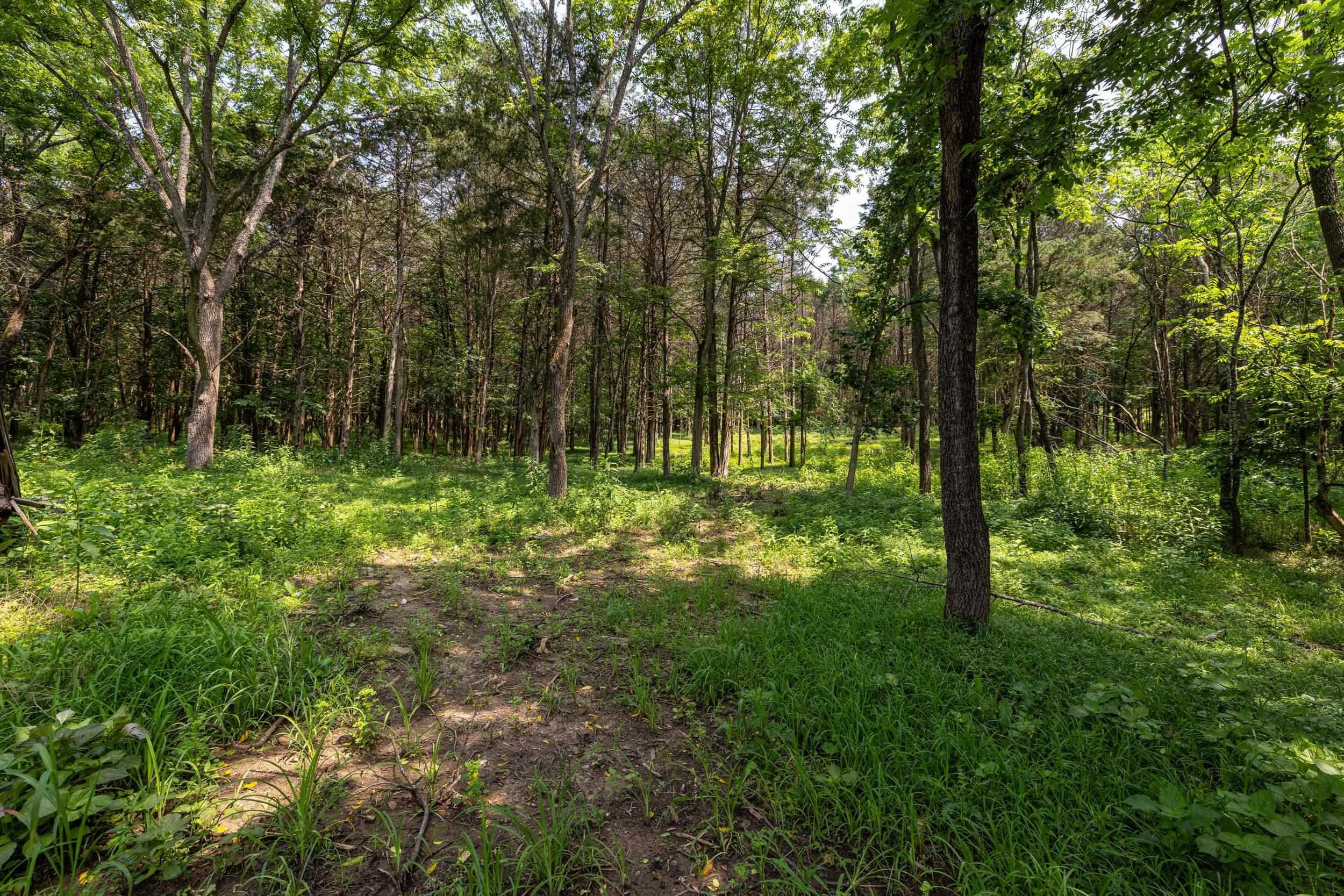 TBD US HWY 211 W, LURAY, Virginia 22835, ,Land,TBD US HWY 211 W, Luray, VA 22835,TBD US HWY 211 W,679783 MLS # 679783 TBD US HWY 211 W, LURAY, Virginia 22835, ,Land,TBD US HWY 211 W, Luray, VA 22835,TBD US HWY 211 W,679783 MLS # 679783