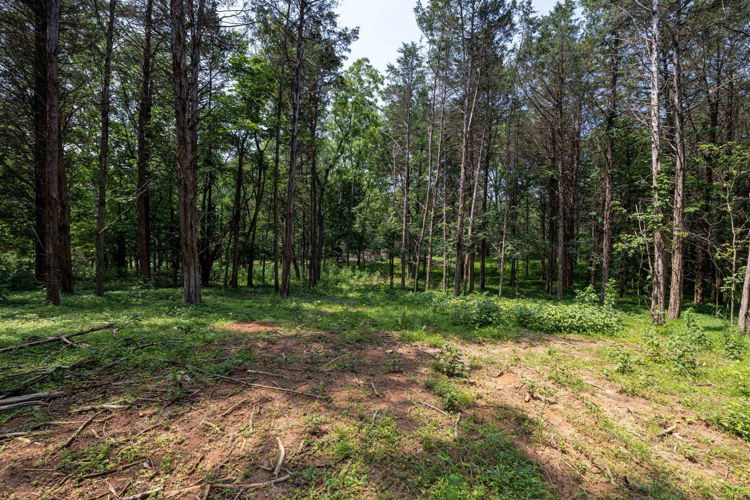 TBD US HWY 211 W, LURAY, Virginia 22835, ,Land,TBD US HWY 211 W, Luray, VA 22835,TBD US HWY 211 W,679783 MLS # 679783 TBD US HWY 211 W, LURAY, Virginia 22835, ,Land,TBD US HWY 211 W, Luray, VA 22835,TBD US HWY 211 W,679783 MLS # 679783